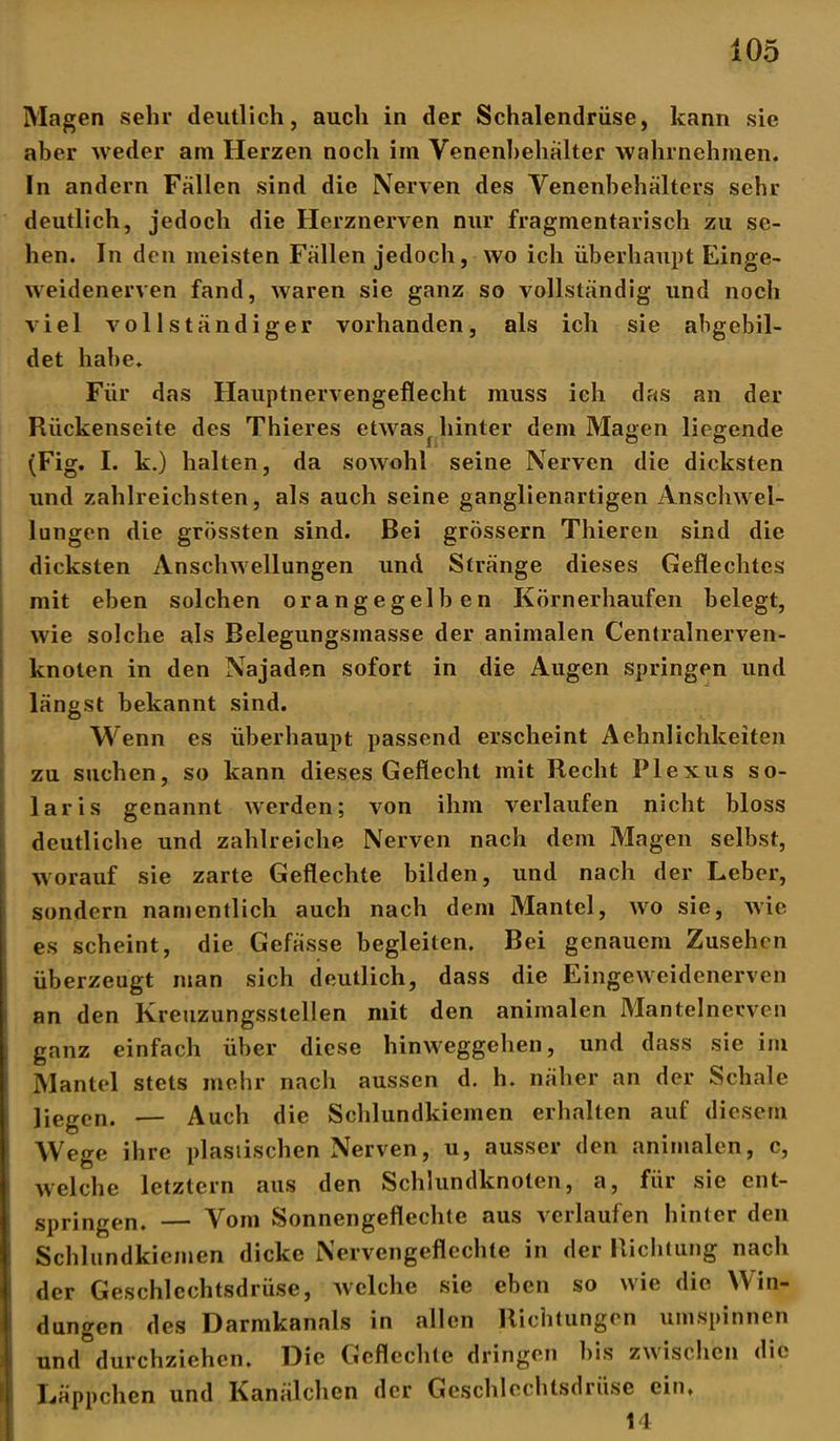 Magen sehr deutlich, auch in der Schalendrüse, kann sic aber weder am Herzen noch im Venenbehälter wahrnehmen. In andern Fällen sind die Nerven des Venenbehälters sehr deutlich, jedoch die Herznerven nur fragmentarisch zu se- hen. In den meisten Fällen jedoch, wo ich überhaupt Einge- weidenerven fand, waren sie ganz so vollständig und noch viel vollständiger vorhanden, als ich sie abgebil- det habe. Für das Hauptnervengeflecht muss ich das an der Rückenseite des Thieres etwas hinter dem Magen liegende (Fig. I. k.) halten, da sowohl seine Nerven die dicksten und zahlreichsten, als auch seine ganglienartigen Anschwel- lungen die grössten sind. Bei grossem Thieren sind die dicksten Anschwellungen und Stränge dieses Geflechtes mit eben solchen orangegelben Körnerhaufen belegt, wie solche als Belegungsmasse der animalen Centralnerven- knoten in den Najaden sofort in die Augen springen und längst bekannt sind. Wenn es überhaupt passend erscheint Aehnlichkeiten zu suchen, so kann dieses Geflecht mit Recht Plexus so- laris genannt werden; von ihm verlaufen nicht bloss deutliche und zahlreiche Nerven nach dem Magen selbst, worauf sie zarte Geflechte bilden, und nach der Leber, sondern namentlich auch nach dem Mantel, wo sie, wie es scheint, die Gefässe begleiten. Bei genauem Zusehen überzeugt man sich deutlich, dass die Eingeweidenerven an den Kreuzungsstellen mit den animalen Mantelnerven ganz einfach über diese hinweggehen, und dass sie im Mantel stets mehr nach aussen d. h. näher an der Schale liegen. — Auch die Schlundkiemen erhalten auf diesem Wege ihre plastischen Nerven, u, ausser den animalen, c, welche letztem aus den Schlundknoten, a, für sie ent- springen. — Vom Sonnengeflechte aus verlaufen hinter den Schlundkiemen dicke Nervengeflechte in der Richtung nach der Geschlechtsdrüse, welche sie eben so wie die Win- dungen des Darmkanals in allen Richtungen umspinnen und durchziehen. Die Geflechte dringen bis zwischen die Läppchen und Kanälchen der Geschlechtsdrüse ein, 14