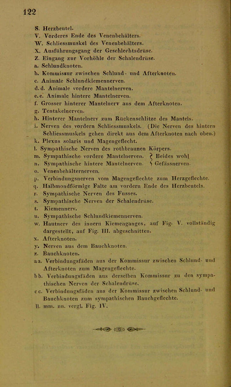 S. Herzbeutel. V. Vorderes Ende des Venenbehälters. W. Schliessmuskel des Venenbehälters. X. Ausführungsgang der Geschlechtsdrüse. Z. Eingang zur Vorhöhle der Schalendrüse. a. Schlundknoten. b. Kommissur zwischen Schlund- und Afterknoten. c. Animale Schlundkiemennerven. d. d. Animale vordere Mantelnerven. e. e. Animale hintere Mantelnerven. f. Grosser hinterer Mantelnerv aus dem Afterknoten. g. Tentakelnerven. h. Hinterer Mantelnerv zum Rückenschlitze des Mantels. i. Nerven des vordem Schliessmuskels. (Die Nerven des hintern Schliessmuskels gehen direkt aus dem Afterknoten nach oben.) k. Plexus solaris und Magengeflecht. l. Sympathische Nerven des rothbraunen Körpers. m. Sympathische vordere Mantelnerven. ^ Beides wohl n. Sympathische hintere Mantelnerven. S Gefässnerven. o. Venenbehälternerven. p. Verbindnngsnerven vom Magengeflechte zum Herzgeflechte. q. Halbmondförmige Falte am vordem Ende des Herzbeutels. r. Sympathische Nerven des Fusses. s. Sympathische Nerven der Schalendrüse. t. Kiemennerv. u. Sympathische Schlundkiemennerven. w. Hautnerv des innerri Kiemenganges, auf Fig. V. vollständig dargestellt, auf Fig. III. abgeschnitten. x. Afterknoten. y. Nerven aus dem Bauchknoten. z. Bauchknoten. aa. Verbindungsfäden aus der Kommissur zwischen Schlund- und Afterknoten zum Magengeflechte. bb. Verbindungsfäden aus derselben Kommissur zu den sympa- thischen Nerven der Schalendrüse. cc. Verbindungsfäden aus der Kommissur zwischen Schlund- und Bauchknoten zum sympathischen Bauchgeflechte. 11. mm. nn. vergh Fig. IV. —•ei'gJK’x