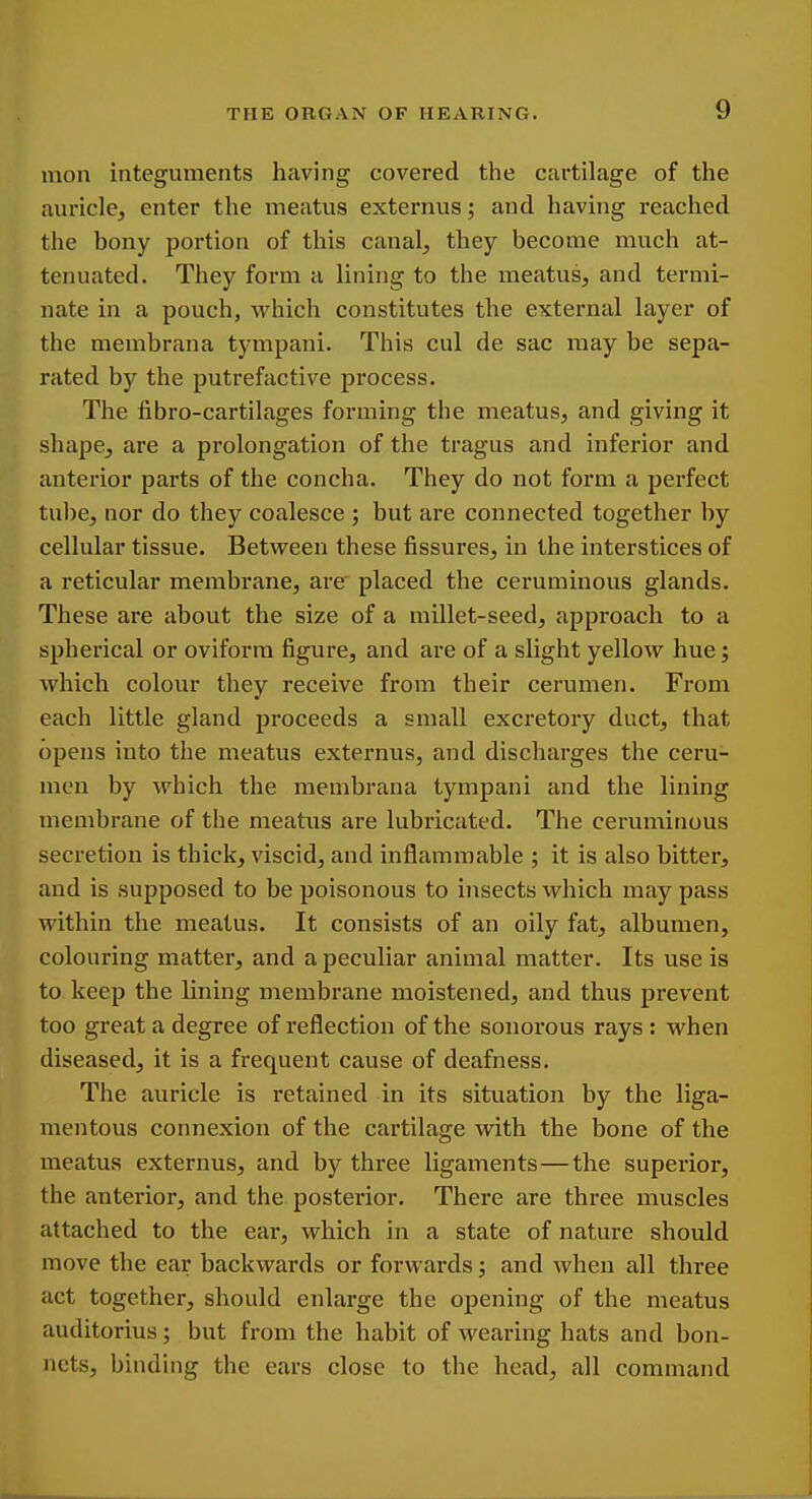 mon integuments having covered the cartilage of the auricle, enter the meatus externus; and having reached the bony portion of this canal, they become much at- tenuated. They form a lining to the meatus, and termi- nate in a pouch, which constitutes the external layer of the membrana tympani. This cul de sac may be sepa- rated by the putrefactive process. The fibro-cartilages forming the meatus, and giving it shape, are a prolongation of the tragus and inferior and anterior parts of the concha. They do not form a perfect tube, nor do they coalesce ; but are connected together by cellular tissue. Between these fissures, in the interstices of a reticular membrane, are placed the ceruminous glands. These are about the size of a millet-seed, approach to a spherical or oviform figure, and are of a slight yellow hue; which colour they receive from their cerumen. From each little gland proceeds a small excretory duct, that opens into the meatus externus, and discharges the ceru- men by which the membrana tympani and the lining membrane of the meatus are lubricated. The ceruminous secretion is thick, viscid, and inflammable ; it is also bitter, and is supposed to be poisonous to insects which may pass within the meatus. It consists of an oily fat, albumen, colouring matter, and a peculiar animal matter. Its use is to keep the lining membrane moistened, and thus prevent too great a degree of reflection of the sonorous rays : when diseased, it is a frequent cause of deafness. The auricle is retained in its situation by the liga- mentous connexion of the cartilage with the bone of the meatus externus, and by three ligaments—the superior, the anterior, and the posterior. There are three muscles attached to the ear, which in a state of nature should move the ear backwards or forwards; and when all three act together, should enlarge the opening of the meatus auditorius; but from the habit of wearing hats and bon- nets, binding the ears close to the head, all command