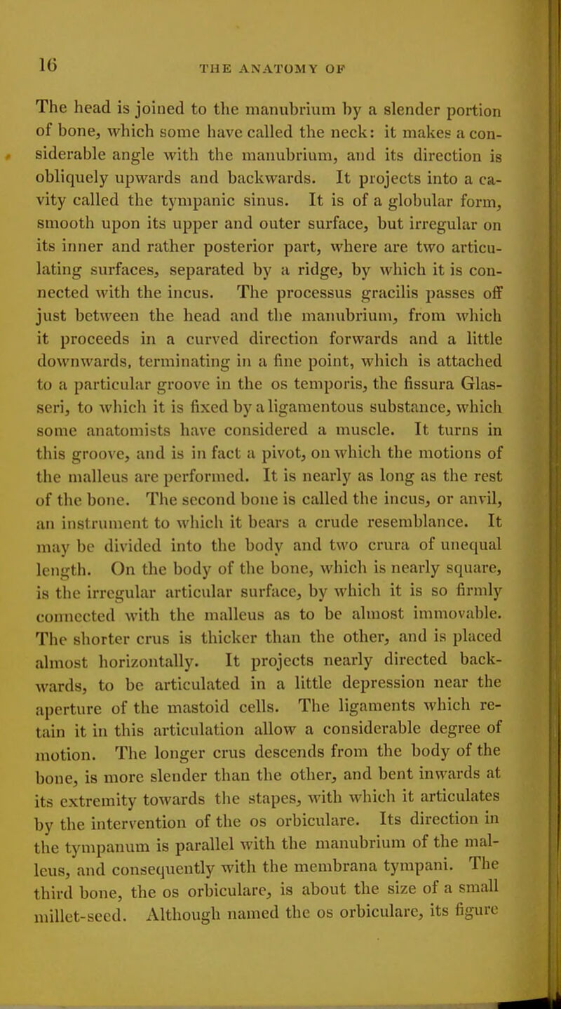 The head is joined to the manubrium by a slender portion of bone, which some have called the neck: it makes a con- siderable angle with the manubrium, and its direction is obliquely upwards and backwards. It projects into a ca- vity called the tympanic sinus. It is of a globular form, smooth upon its upper and outer surface, but irregular on its inner and rather posterior part, where are two articu- lating surfaces, separated by a ridge, by which it is con- nected with the incus. The processus gracilis passes off just between the head and the manubrium, from which it proceeds in a curved direction forwards and a little downwards, tenuinating in a fine point, which is attached to a particular groove in the os temporis, the fissura Glas- seri, to which it is fixed by a ligamentous substance, which some anatomists have considered a muscle. It turns in this groove, and is in fact a pivot, on which the motions of the malleus are performed. It is nearly as long as the rest of the bone. The second bone is called the incus, or anvil, an instrument to which it bears a crude resemblance. It may be divided into the body and two crura of unequal length. On the body of the bone, which is nearly square, is the irregular articular surface, by which it is so firmly connected with the malleus as to be almost immovable. The shorter crus is thicker than the other, and is placed almost horizontally. It projects nearly directed back- wards, to be articulated in a little depression near the aperture of the mastoid cells. The ligaments which re- tain it in this articulation allow a considerable degree of motion. The longer crus descends from the body of the bone, is more slender than the other, and bent inwards at its extremity towards the stapes, with which it articulates by the intervention of the os orbiculare. Its direction in the tympanum is parallel with the manubrium of the mal- leus, and consequently with the membrana tympani. The third bone, the os orbiculare, is about the size of a small millet-seed. Although named the os orbiculare, its figure