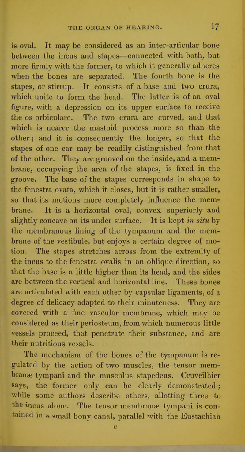 i& oval. It may be considered as an inter-articular bone between the incus and stapes—connected with both, but more firmly with the former, to which it generally adheres when the bones are separated. The fourth bone is the stapes, or stirrup. It consists of a base and two crura, which unite to form the head. The latter is of an oval figure, with a depression on its upper surface to receive the OS orbiculare. The two crura are curved, and that which is nearer the mastoid process more so than the other; and it is consequently the longer, so that the stapes of one ear may be readily distinguished from that of the other. They are grooved on the inside, and a mem- brane, occupying the area of the stapes, is fixed in the groove. The base of the stapes corresponds in shape to the fenestra ovata, which it closes, but it is rather smaller, so that its motions more completely influence the mem- brane. It is a horizontal oval, convex superiorly and slightly concave on its under surface. It is kept in situ by the membranous lining of the tympanum and the mem- brane of the vestibule, but enjoys a certain degree of mo- tion. The stapes stretches across from the extremity of the incus to the fenestra ovalis in an oblique direction, so that the base is a little higher than its head, and the sides are between the vertical and horizontal line. These bones are articulated with each other by capsular ligaments, of a degree of delicacy adapted to their minuteness. They are covered with a fine vascular membrane, which may be considered as their periosteum, from which numerous little vessels proceed, that penetrate their substance, and are their nutritious vessels. The mechanism of the bones of the tympanum is re- gulated by the action of two muscles, the tensor mem- branse tympani and the musculus stapedeus. Cruveilhier says, the former only can be clearly demonstrated; while some authors describe others, allotting three to the incus alone. The tensor membranae tympani is con- tamed in n, Kmall bony canal, parallel with the Eustachian