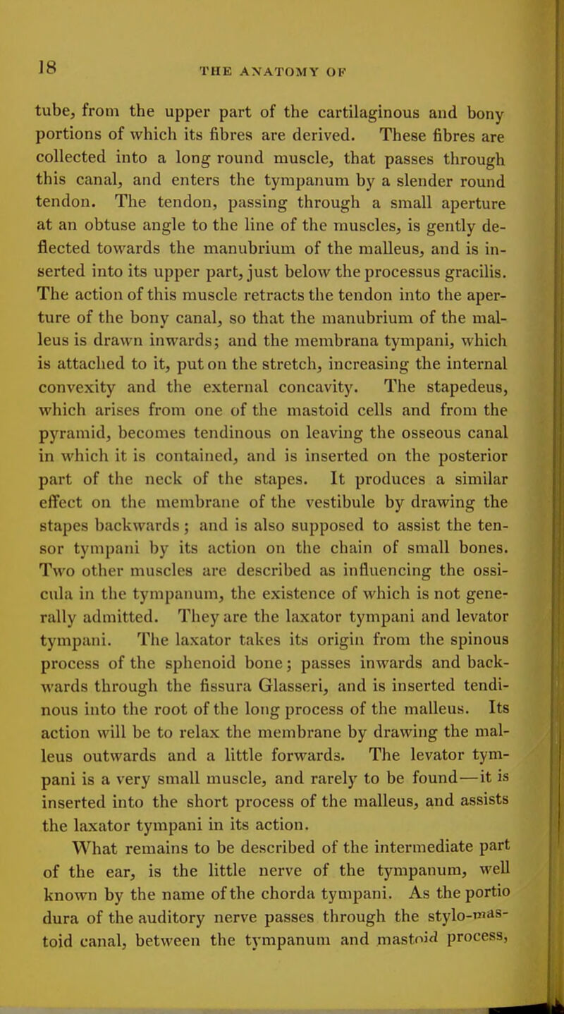 tube, from the upper part of the cartilaginous and bony portions of which its fibres are derived. These fibres are collected into a long round muscle, that passes through this canal, and enters the tympanum by a slender round tendon. The tendon, passing through a small aperture at an obtuse angle to the line of the muscles, is gently de- flected towards the manubrium of the malleus, and is in- serted into its upper part, just below the processus gracilis. The action of this muscle retracts the tendon into the aper- ture of the bony canal, so that the manubrium of the mal- leus is drawn inwards; and the membrana tympani, which is attached to it, put on the stretch, increasing the internal convexity and the external concavity. The stapedeus, which arises from one of the mastoid cells and from the pyramid, becomes tendinous on leaving the osseous canal in M'hich it is contained, and is inserted on the posterior part of the neck of the stapes. It produces a similar effect on the membrane of the vestibule by drawing the stapes backwards; and is also supposed to assist the ten- sor tympani by its action on the chain of small bones. Two other muscles are described as influencing the ossi- cula in the tympanum, the existence of which is not gene- rally admitted. They are the laxator tympani and levator tympani. The laxator takes its origin from the spinous process of the sphenoid bone; passes inwards and back- wards through the fissura Glasseri, and is inserted tendi- nous into the root of the long process of the malleus. Its action will be to relax the membrane by drawing the mal- leus outwards and a little forwards. The levator tym- pani is a very small muscle, and rarely to be found—it is inserted into the short process of the malleus, and assists the laxator tympani in its action. What remains to be described of the intermediate part of the ear, is the little nerve of the tympanum, well known by the name of the chorda tympani. As the portio dura of the auditory nerve passes through the stylo-mas- toid canal, between the tympanum and mastoitl process,