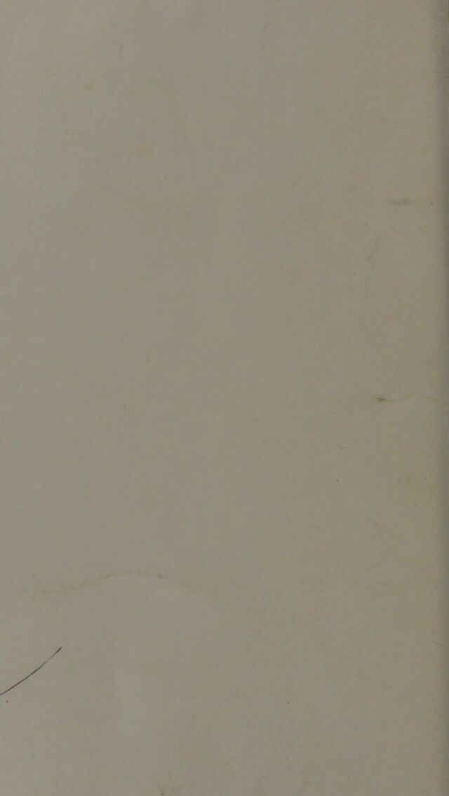 digitised image 2