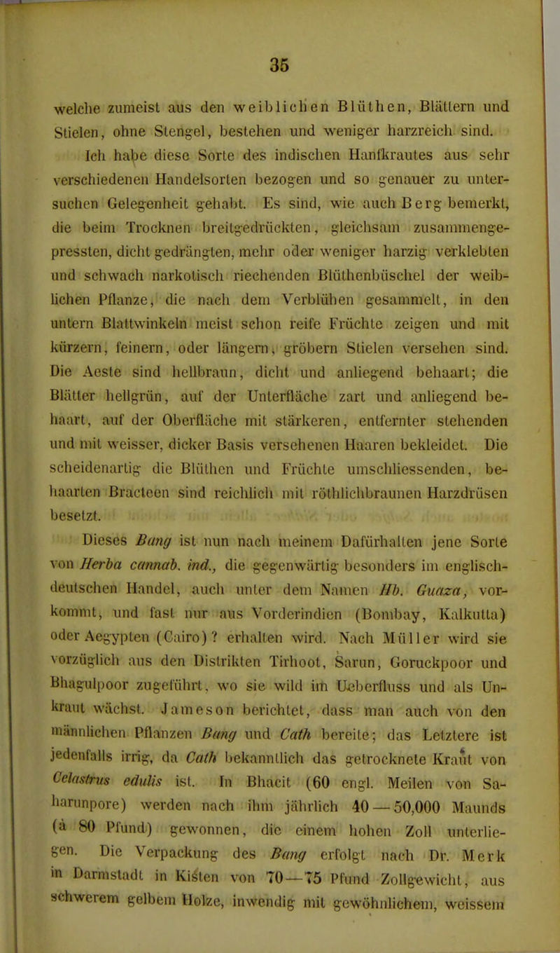 welche zumeist aus den weibliclien Bliilhen, BUUlern und Stielen, ohne Stengel, bestehen und weniger harzreich sind. Ich habe diesc Sorte des indischen Hanfkrautes aus sehr verschiedeneu Handelsorten bezogen und so genauer zu unler- suchcn Gelegenhcit gehabt. Es sind, wie auch Berg bemerkt, die beini Trocknen breilg-edriickten, gleichsam zusammenge- pressten, dicht gedriingten, mehr oder weniger harzig- verkleblen und schwach narkolisch riechenden Biiilhenbiischel der weib- lichen Pflanze, die nach dem Verbliihen gesamnielt, in den unlcrn Biattvvinkeln nieist schon reife Friichte zeigen und mit kiirzern, feinern, oder langems grobern Stielen versehcn sind. Die Aeste sind hellbraun, dicht und anliegend behaart; die Blatter heligriin, auf der Unterfltiche zart und anliegcnd be- haart, auf der Oberfliiche mit starkeren, entfernter stehenden und mit weisser, dicker Basis versehenen Haaren bekleidet. Die scheidenarli^ die Bliilhen und Fruchte umschHessenden, be- haarten Bracleen sind reichlich mit rothlichbraunen HarzdrCisen besetzt. Dieses Bang ist nun nach meinem Dafiirhailen jene Sorte von Herha cannab. ind., die gegenwarlig besonders im englisch- deutschen Handel, auch unter dem Namen Hb. Guaza, vor- komnit, und fast nur aus Vorderindien (Bombay, Kalkiitla) Oder Aegypten (Cairo)? erhalten wird. Nach Miiller wird sie vorzuglich aus den Distrikten Tirhoot, Sarun, Goruckpoor und Bhagulpoor zugeliihrt. wo sie wild im Uebcrfluss und als Un- kraut wiichst. Jameson berichtet, dass man auch von den niannlichen Pflanzen Bang und Cath bereile; das Letztere ist jedenfalls irrig, da Cath bekannllich das getrocknete Kraut von Celastrus edulis ist. In Bhacit (60 engl. Meilen von Sa- harunpore) werden nach ihm jiihrlich 40 — 50,000 Maunds (a 80 Pfund) gewonnen, die einem hohen ZoU unlerlie- gen. Die Verpackung des Bang crfolgt nach Dr. Mcrk in Darmstadt in Kitten von TO—75 Pfund Zollg^wicht, aus schwerem gelbem Holze, inwendig mil gewohnlichem, weisseni