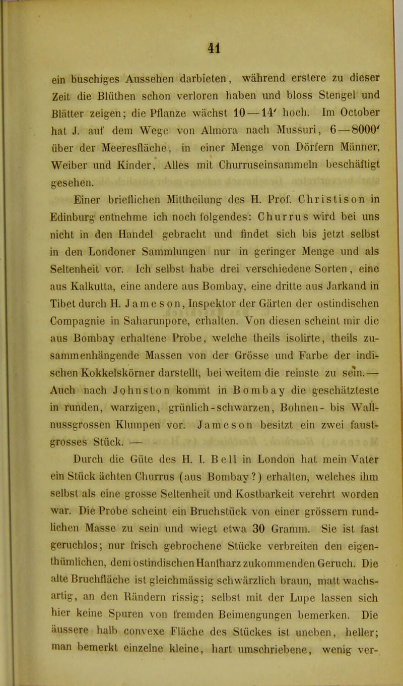 ein buschiges Aussehen darbieten, wahrend erslere zu dieser Zeit die Bliithen schon verloren haben und bloss Stengel und Blatter zeigen; die Pflanze wiichst 10 —14' hoch. Im October hat J. auf dein Wege von Almora nach Miissuri, 6 — 8000' iiber der Meeresfliiche, in einer Menge von Dorfern Manner, Weiber und Kinder, Alles mil Churruseinsammeln beschiilligt gesehen. Einer brieflichen Mittheilung des H. Prof. Chris lis on in Edinburg entnehme ich noch tolgendes: Churrus wird bei uns nicht in den Handel gebracht und findet sich bis jetzt seibst in den Londoner Sammlungen nur in geringer Menge und als Seltenheit vor. Ich seibst habe drei verschiedene Sorten, eine aus Kalkulta, eine andere aus Bombay, eine dritte aus Jarkand in Tibet durch H. Jameson, Inspeklor der Garten der ostindischen Compagnie in Saharunpore, erhalten. Von diesen scheint mir die aus Bombay erhaltene Probe, welche theils isolirte, theils zu- sammenhangende Massen von der Grosse und Farbe der indi- schen Kokkelskorner darstellt, bei weitem die reinste zu sem.— Auch nach Johnston kommt in Bombay die geschiitzteste in runden, warzigen, griinhch-schwarzen, Bohnen- bis Wall- nussgrossen Klumpen vor. Jameson besitzt ein zwei faust- grosses Stuck. — Durch die Giite des H. I. Bell in London hat mein Valer ein Stiick iichten Churrus (aus Bombay?) erhalten, welches ihm seibst als eine grosse Seltenheit und Kostbarkeit verehrt worden war. Die Probe scheint ein Bruchstiick von einer grossern rund- lichen Masse zu sein imd wiegt etwa 30 Gramm. Sie ist last geruchlos; nur Irisch gebrochene Stiicke verbreiten den eigen- thiimlichen, dem ostindischenHaniharz zukommenden Geruch. Die alte Bruchflache ist gleichmassig schwiirzlich braun, matt wachs- artig, an den Riindern rissig; seibst mil der Lupe lassen sich hier kcine Spuren von i'remden Beimengungen bemerken. Die aussere halb convexe Flache des Stiickes ist uncben, heller; man bemerkl einzelne kleine, hart umschriebene, wenig ver-