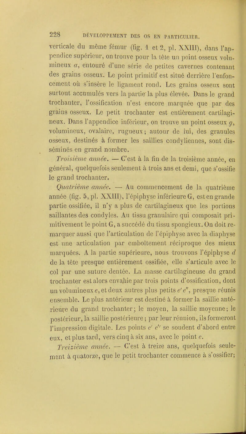 verticale du môme fémur (fig. 1 et 2, pl. XXIII), dans l'ap- pendice supérieur, on trouve pour la tête un point osseux volu- mineux a, entouré d'une série de petites cavernes contenant des grains osseux. Le point primitif est situé derrière l'enfon- cement où s'insère le ligament rond. Les grains osseux sont surtout accumulés vers la partie' la plus élevée. Dans le grand trochanter, l'ossification n'est encore marquée que par des grains osseux. Le petit trochanter est entièrement cartilagi- neux. Dans l'appendice inférieur, on trouve un point osseux g, volumineux, ovalaire, rugueux; autour de lui, des granules osseux, destinés à former les saillies condyliennes, sont dis- séminés en grand nombre. Troisième année. — C'est à la fin de la troisième année, en général, quelquefois seulement à trois ans et demi, que s'ossifie le grand trochanter. Quatrième année. — Au commencement de la quatrième année (fig. 5, pl. XXIII), l'épiphyse inférieure G, est en grande partie ossifiée, il n'y a plus de cartilagineux que les portions saillantes des condyles. Au tissu granulaire qui composait pri- mitivement le point G, a succédé du tissu spongieux. On doit re- marquer aussi que l'articulation de l'épiphyse avec la diaphyse est une articulation par emboîtement réciproque des mieux marquées. A la partie supérieure, nous trouvons l'épiphyse d de la tête presque entièrement ossifiée, elle s'articule avec le col par une suture dentée. La masse cartilagineuse du grand trochanter est alors envahie par trois points d'ossification, dont un volumineux e, et deux autres plus petits e'e, presque réunis ensemble. Le plus antérieur est destiné à former la saiUie anté- rieure du grand trochanter; le moyen, la saillie moyenne; le postérieur, la sailUe postérieure ; par leur réunion, ils formeront l'impression digitale. Les points e' e'' se soudent d'abord entre eux, et plus tard, vers cinq à six ans, avec le point e. Treizième année. — C'est à treize ans, quelquefois seule- ment à quatorze, que le petit trochanter commence à s'ossifier;