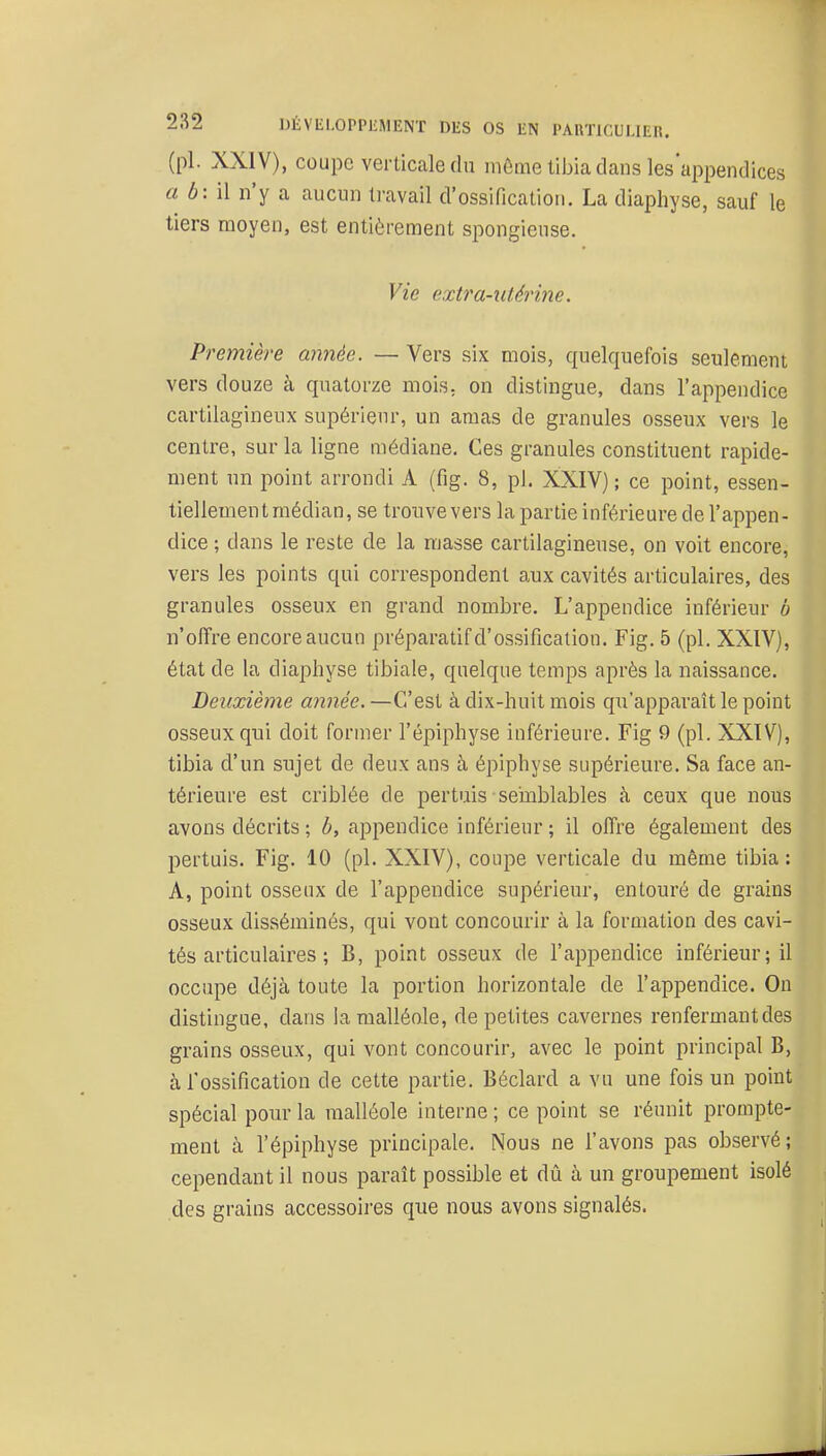 (pl. XXIV), coupe verticale du môme tibia dans les'appendices a b:i\ n'y a aucun travail d'ossification. La diaphyse, sauf le tiers moyen, est entièrement spongieuse. Vie extra-utérine. Première année. — Vers six mois, quelquefois seulement vers douze à quatorze mois, on distingue, dans l'appendice cartilagineux supérieur, un amas de granules osseux vers le centre, sur la ligne médiane. Ces granules constituent rapide- ment un point arrondi A (fig. 8, pl. XXIV); ce point, essen- tiellement médian, se troiivevers la partie inférieure de l'appen- dice ; dans le reste de la masse cartilagineuse, on voit encore, vers les points qui correspondent aux cavités articulaires, des granules osseux en grand nombre. L'appendice inférieur b n'offre encore aucun préparatif d'ossification. Fig. 5 (pl. XXIV), état de la diaphyse tibiale, quelque temps après la naissance. Deuxième année. —C4'est à dix-huit mois qu'apparaît le point osseux qui doit former l'épiphyse inférieure. Fig 9 (pl. XXIV), tibia d'un sujet de deux ans à épiphyse supérieure. Sa face an- térieure est criblée de pertuis semblables à ceux que nous avons décrits ; b, appendice inférieur ; il offre également des pertuis. Fig. 10 (pl. XXIV), coupe verticale du même tibia : A, point osseux de l'appendice supérieur, entouré de grains osseux disséminés, qui vont concourir à la formation des cavi- tés articulaires ; B, point osseux de l'appendice inférieur; il occupe déjà toute la portion horizontale de l'appendice. On distingue, dans la malléole, de petites cavernes renfermantdes grains osseux, qui vont concourir, avec le point principal B, à l'ossification de cette partie. Béclard a vu une fois un point spécial pour la malléole interne; ce point se réunit prompte- ment à l'épiphyse principale. Nous ne l'avons pas observé; cependant il nous paraît possible et dû à un groupement isolé des grains accessoires que nous avons signalés.