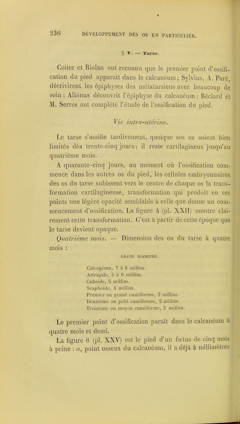 § V. — Tarso. Coiter et lliolan ont reconnu que le premier point d'ossifi- cation du pied apparaît dans le calcanéum ; Sylvius, A. Paré, décrivirent les épiphyses des métatarsiens avec beaucoup de soin ; Albinus découvrit l'épiphyse du calcanéum ; Béclard et M. Serres ont complété l'étude de l'ossification du pied. Vie intra-utérine. Le tarse s'ossifie tardivement, quoique ses os soient bien limités dès trente-cinq jours ; il reste cartilagineux jusqu'au quatrième mois. A quarante-cinq jours, au moment où l'ossification com- mence dans les autres os du pied, les cellules embryonnaires des os du tarse subissent vers le centre de chaque os la trans- formation cartilagineuse, transformation qui produit en ces points une légère opacité semblable à celle que donne un com- mencement d'ossification. La figure li (pl. XXII) montre clai- rement celte transformation. C'est à partir de cette époque que le tarse devient opaque. Quatrième mois. — Dimension des os du tarse à quatre mois : GRAND DIAMÈTRE. Calca[).cuni, 7 à 8 millim. Astragale^ 5 à 6 millim. Cuboidc, 5 millim. Scaphoidc, 4 millim. Premier ou grand cunéiforme, 2 millim. Deuxième ou petit cunéilorme, 2 millim. Troisième ou moyen cunéiforme, 3 millim. Le premier point d'ossification paraît dans le calcanéum à quatre mois et demi. La figure 6 (pl. XXV) est le pied d'un fœtus de cinq mois à peine : a, point osseux du calcanéum, il a déjà Zi millimètres