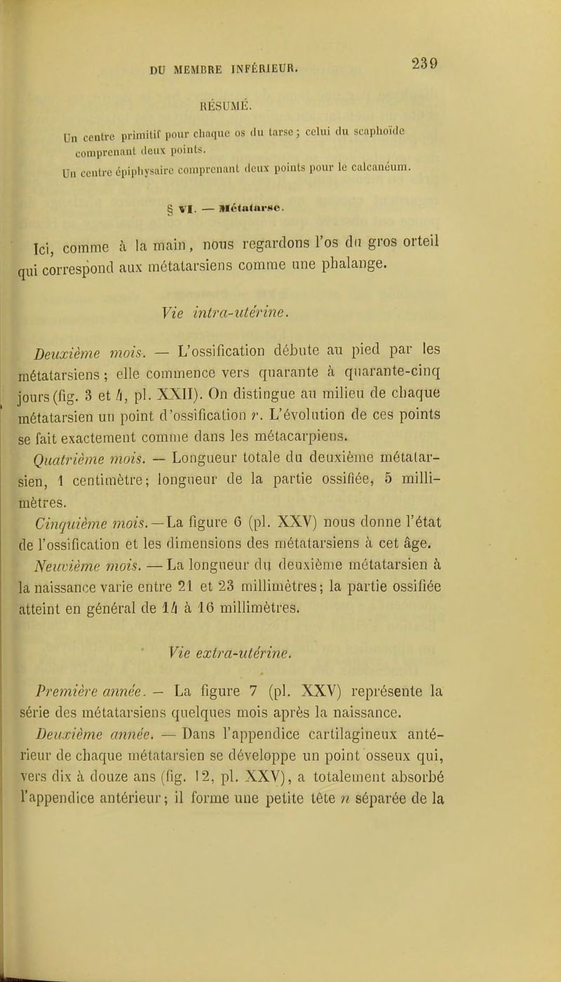 RÉSUMÉ. Un centre primitif pour chaque os du tarse ; celui du scnphoïdc comprenant deux points. Un centre épipliysaire comprenant deux points pour le calcanéum. § VI. — Métatarse. Ici, comme à la m.ain, nous regcardons l'os du gros orteil qui correspond aux métatarsiens comme une phalange. Vie intra-utérine. Deuxième mois. — L'ossification débute au pied par les métatarsiens ; elle commence vers qnai^ante à quarante-cinq jours(fig. 3 et li, pl. XXII). On distingue an milieu de chaque métatarsien un point d'ossificaliou r. L'évolution de ces points se fait exactement comme dans les métacarpiens. Quatrième mois. — Longueur totale du deuxième métatar- sien, 1 centimètre; longueur de la partie ossifiée, 5 milli- mètres. Cinquième mois.—La. figure 6 (pl. XXV) nous donne l'état de l'ossification et les dimensions des métatarsiens à cet âge. Neuvième mois. — La longueur du deuxième métatarsien à la naissance varie entre 21 et 23 millimètres; la partie ossifiée atteint en général de 1/i à 16 millimètres. Vie extra-utérine. Première aimée. — La figure 7 (pl. XXV) représente la série des métatarsiens quelques mois après la naissance. Deuxième année. — Dans l'appendice cartilagineux anté- rieur de chaque métatarsien se développe un point osseux qui, vers dix à douze ans (fig. 12, pl. XXV), a totalement absorbé l'appendice antérieur; il forme une petite tête n séparée de la