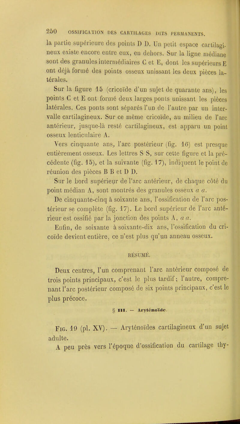 la partie supérieure des points D D. Un petit espace cartilagi- neux existe encore entre eux, en dehors. Sur la ligne médiane sont des granules intermédiaires G et E, dont les supérieurs E ont déjà formé des points osseux unissant les deux pièces la- térales. Sur la figure 15 (cricoïde d'un sujet de quarante ans), les points C et E ont formé deux larges ponls unissant les pièces latérales. Ces ponts sont séparés l'un de l'autre par un inter- valle cartilagineux. Sur ce môme cricoïde, au milieu de l'arc antérieur, jusque-là resté cartilagineux, est apparu un point osseux lenticulaire A. Vers cinquante ans^ l'arc postérieur (fig. 16) est presque entièrement osseux. Les lettres S S, sur cette figure et la pré- cédente (fig. Û5), et la suivante (fig. 17), indiquent le point de réunion des pièces B B et D D. Sur le bord supérieur de l'arc antérieur, de chaque côté du point médian A, sont montrés des granules osseux a a. De cinquante-cinq à soixante ans, l'ossification de l'arc pos- térieur se complète (fig. 17). Le bord supérieur de l'arc anté- rieur est ossifié par la jonction des points K, aa. Enfin, de soixante à soixante-dix ans, l'ossification du cri- coïde devient entière, ce n'est plus qu'un anneau osseux. RÉSUMÉ. Deux centres, l'un comprenant l'arc antérieur composé de trois points principaux, c'est le plus tardif ; l'autre, compre- nant l'arc postérieur composé de six points principaux, c'est le plus précoce. § m. — Aryténoïdc. Fig. 19 (pl. XV). — Aryténoïdes cartilagineux d'un sujet adulte. A peu près vers l'époque d'ossification du cartilage thy-