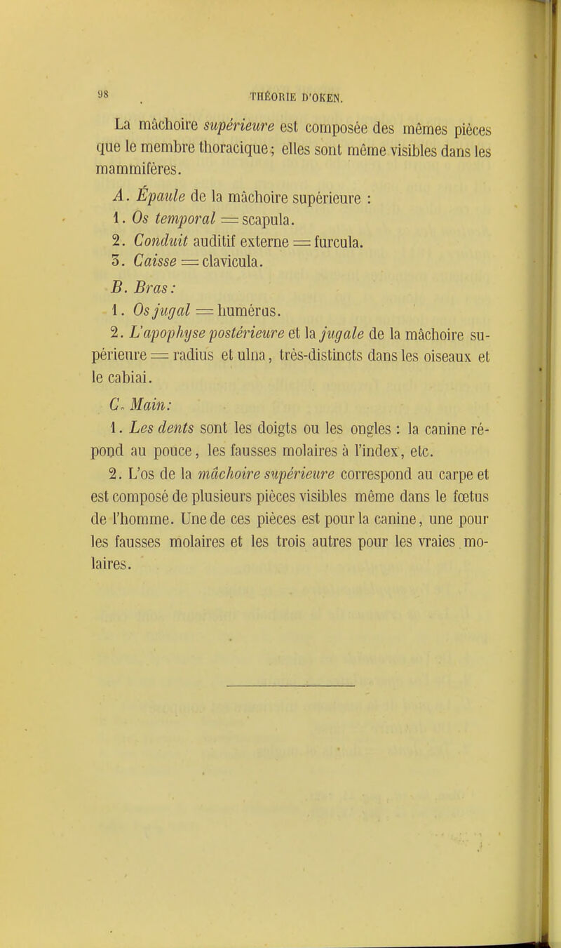 La mâchoire supérieure est composée des mêmes pièces que le membre tlioracique; elles sont même visibles dans les mammifères. A. Épaule de la mâchoire supérieure : 1. Os temporal =scapula. 2. Conduit auditif externe = furcula. 3. Caisse = clavicula. B. Bras: 1. Os/M^/a/= humérus. 2. L'apophyse postérieure et hjugale de la mâchoire su- périeure = radius et ulna, très-distincts dans les oiseaux et le cabiai. C. Main: 1. Les dents sont les doigts ou les ongles : la canine ré- pond au pouce, les fausses molaires à l'index, etc. 2. L'os de la mâchoire supérieure correspond au carpe et est composé de plusieurs pièces visibles même dans le fœtus de l'homme. Une de ces pièces est pour la canine, une pour les fausses molaires et les trois autres pour les vraies mo- laires.