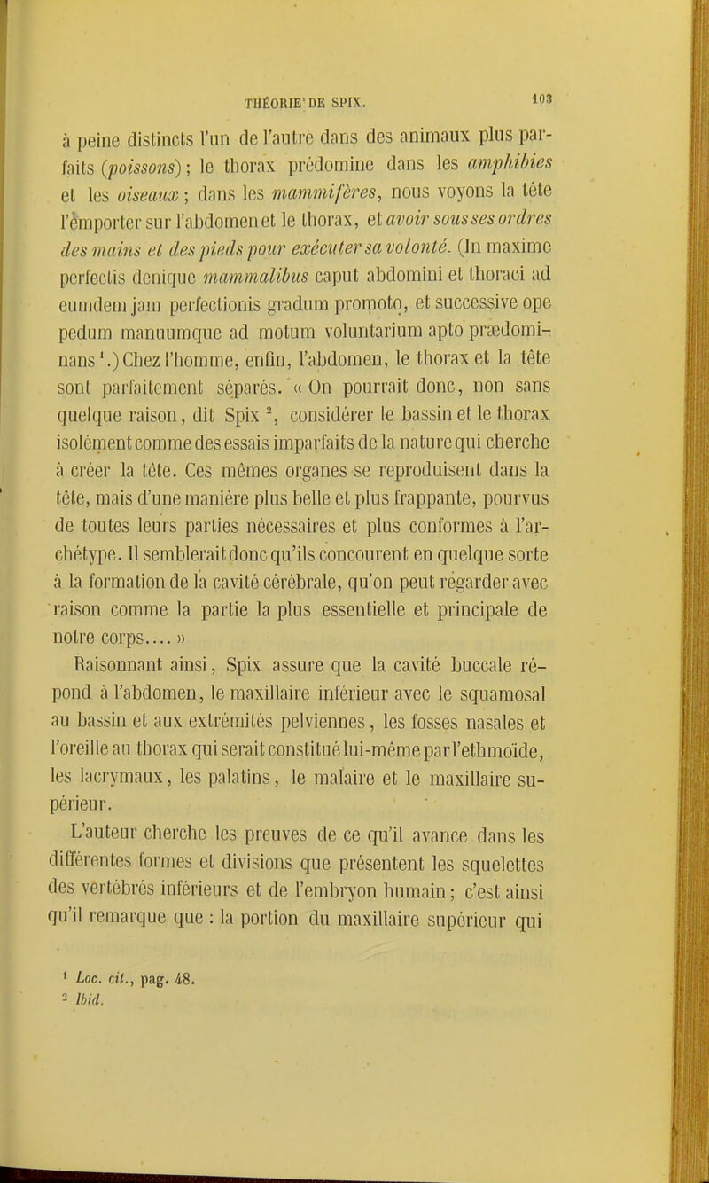 THÉORIE'DE SPIX. lO^ à peine distincts l'un de l'autre dans des animaux plus par- faits (poissons) ; le thorax prédomine dans les amphibies et les oiseaux ; dans les mammifères, nous voyons la lête l'emporter sur l'alDdomen et le thorax, el avoir sous ses ordres des moins et des pieds pour exécuter sa volonté, (hi maxime perfeclis denique mammalibus caput abdomini et Ihoraci ad enmdem jam perfectionis gradum promotq, et successive ope pedum manaumque ad motum voluntarium apto praedomi- nans'.)Chez l'homme, enûn, l'abdomen, le thorax et la tête sont parfaitement séparés. « On pourrait donc, non sans quelque raison, dit Spix -, considérer le bassin et le thorax isolément comme des essais imparfaits de la nature qui cherche à créer la tète. Ces mêmes organes se reproduisent dans la tête, mais d'une manière plus belle et plus frappante, pourvus de toutes leurs parties nécessaires et plus conformes à l'ar- chétype. 11 semblerait donc qu'ils concourent en quelque sorte à la formation de la cavité cérébrale, qu'on peut régarder avec raison comme la partie la plus essentielle et principale de notre corps.... » Raisonnant ainsi, Spix assure que la cavité buccale ré- pond à l'abdomen, le maxillaire inférieur avec le squamosal au bassin et aux extrémités pelviennes, les fosses nasales et l'oreille au thorax qui seraitconstituélui-mêmeparl'ethmoïde, les lacrymaux, les palatins, le malaire et le maxillaire su- périeur. L'auteur cherche les preuves de ce qu'il avance dans les différentes formes et divisions que présentent les squelettes des vertébrés inférieurs et de l'embryon humain ; c'est ainsi qu'il remarque que : la portion du maxillaire supérieur qui • Loc. cit., pag. 48. 2 Ihid.