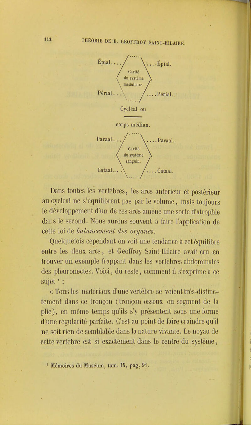 Périal Épiai ....Périal. • .. -Épiai. Cycléal ou corps médian. Paraal.... / / ( / du \ sa Cataal... .\ Cataal. ... .Paraal. Dans toutes les vertèbres, les arcs antérieur et postérieur au cycléal ne s'équilibrent pas par le volume, mais toujours le développement d'un de ces arcs amène une sorte d'alrophie dans le second. Nous aurons souvent à faire l'application de cette loi de balancement des organes. Quelquefois cependant on voit une tendance à cet équilibre entre les deux arcs, et Geoffroy Saint-Hilaire avait cru en trouver un exemple frappant dans les vertèbres abdominales des pleuronecte?. Voici, du reste, comment il s'exprime à ce sujet ' : (( Tous les matériaux d'une vertèbre se voient très-distinc- tement dans ce tronçon (tronçon osseux ou segment de la plie), en même temps qu'ils s'y présentent sous une forme d'une régularité parfaite. C'est au point de faire craindre qu'il ne soit rien de semblable dans la nature vivante. Le noyau de cette vertèbre est si exactement dans le centre du système, ' Mémoires du Muséum, tom. IX, pag. 91.
