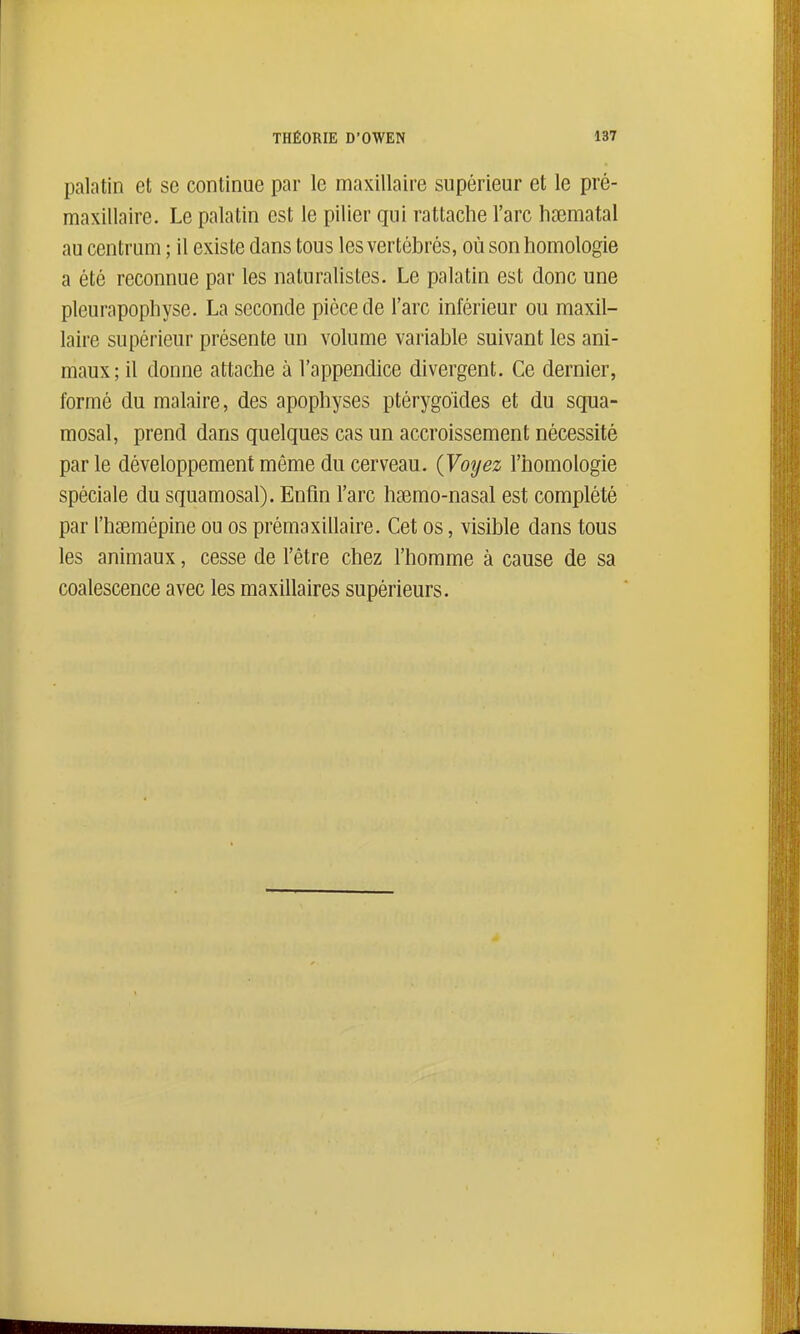 palatin et se continue par le maxillaire supérieur et le pré- maxillaire. Le palatin est le pilier qui rattache l'arc liaîmatal au centrum ; il existe dans tous les vertébrés, où son homologie a été reconnue par les naturalistes. Le palatin est donc une pleurapophyse. La seconde pièce de l'arc inférieur ou maxil- laire supérieur présente un volume variable suivant les ani- maux; il donne attache à l'appendice divergent. Ce dernier, formé du malaire, des apophyses ptérygoides et du squa- mosal, prend dans quelques cas un accroissement nécessité parle développement môme du cerveau. {Voyez l'homologie spéciale du squamosal). Enfin l'arc hsemo-nasal est complété par rhœmépine ou os prémaxillaire. Cet os, visible dans tous les animaux, cesse de l'être chez l'homme à cause de sa coalescence avec les maxillaires supérieurs.