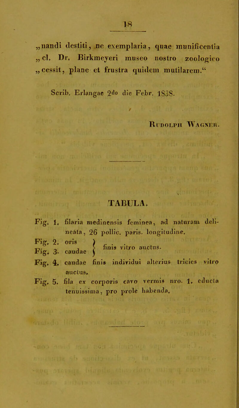 „uandi tlestiti, ne exeniplaria, qiiae munincenlia „ cK Dr, Birkmeyeri museo nostro zoologico „cessit, plane et frustra quiilcm mulilarem. Scrib. Erlangae 2^° d'e Febr. 1S3S. Rrnoi-PH Wagnf.r. TABULA. Fig, 1, fiiaria medinensis feminea, ad naliuam deli- neata, 26 pollic. parls. longitudine. linis vltro auclas. Fig. 2. orls Fig, 3- caudae Fig. 4, candae finls indiridul alterius tricies vilro auctus. Fig, 5. fila ex corporis cavo vermis nro. 1, educla tenuissima, pro prole habenda.