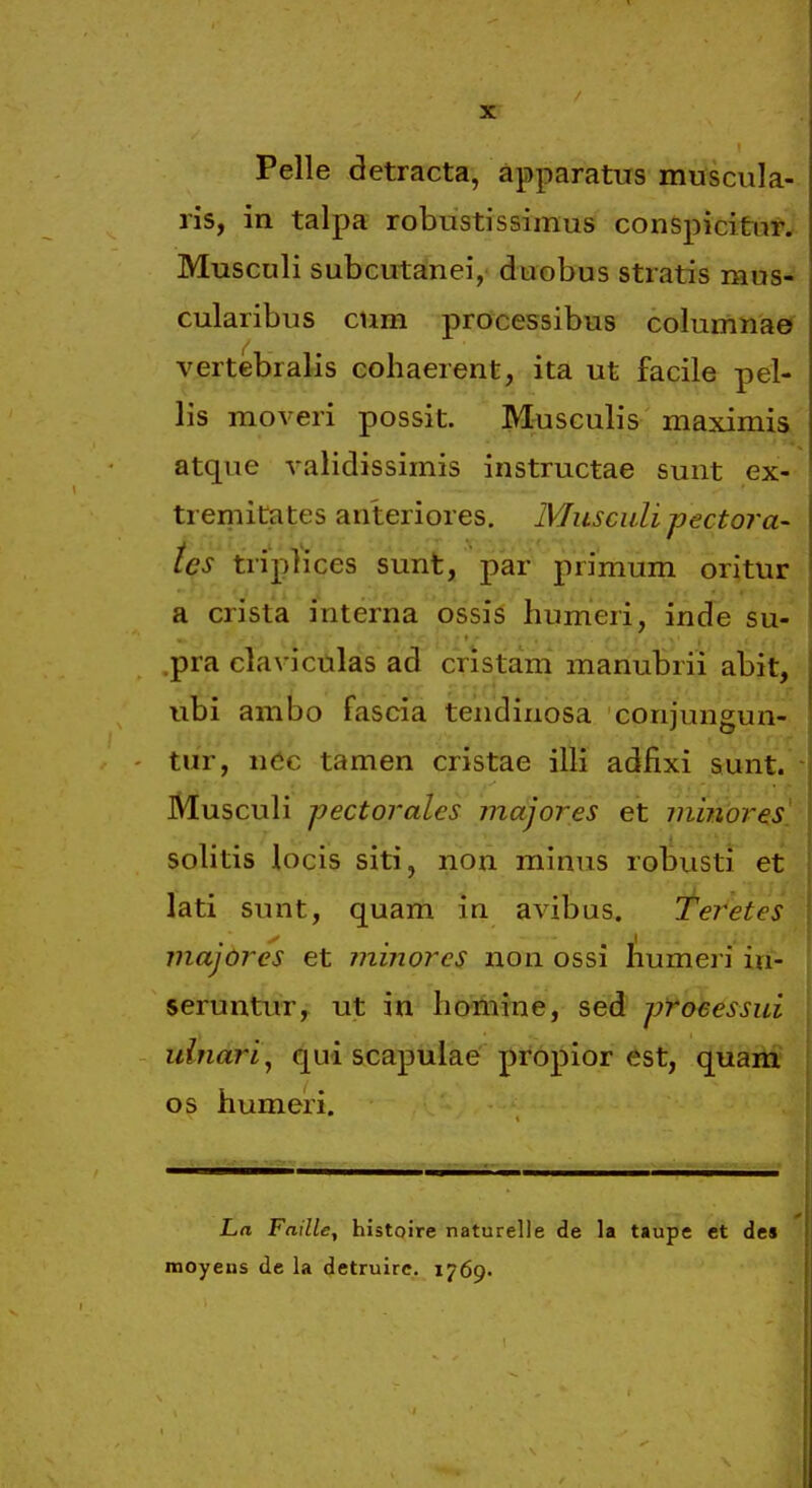 Pelle detracta, apparatus muscula-. ris, in talpa robustissimus conspicituri Musculi subcutanei, duobus stratis mus- cularibus cum processibus coluninaer vertebralis cohaerent, ita ut facile pel- lis moveri possit. Musculis maximia atque validissimis instructae sunt ex- tremiCates anleriores. Musculi pectora- tes triplices sunt, par primum oritur a crista interna ossig humeri,~ inde su- .pra clavicillas ad cristam' manubrii abit, ubi ambo fascia tendinosa corijungun- tur, n6c tamen cristae illi adfixi sunt. - Musculi pectorales majores et minores! solitis locis siti, non minus robusti et lati sunt, quam in avibus. Teretes iJiajores et minores uon ossi humeri in- seruntur, ut in homine, sed processui uinari^ qui scapulae propior est, quam os humeri. La Faille, histoire naturelle de la taupe et des moyens de la detruire. 1769.
