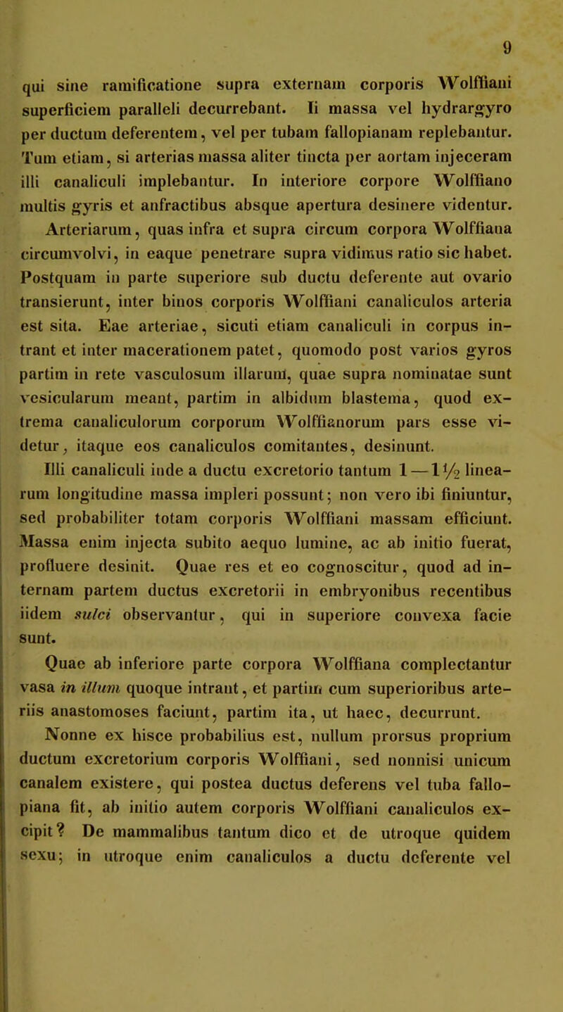 qui sine ramificatione supra externam corporis Wolfflani superficiem paralleli decurrebant. li massa vel hydrargyro per ductum deferentera, vel per tubam fallopianam replebantur. Tum etiam, si arterias massa aliter tincta per aortam injeceram illi canaliculi implebantur. In interiore corpore Wolffiano multis gyris et anfractibus absque apertura desinere videntur. Arteriarum, quas infra et supra circum corpora Wolffiana circumvolvi, in eaque penetrare supra vidiraus ratio sic habet. Postquam in parte superiore sub ductu deferente aut ovario transierunt, inter biuos corporis Wolffiani canaliculos arteria est sita. Eae arteriae, sicuti etiam canaliculi in corpus in- trant et inter macerationem patet, quomodo post varios gyros partim in rete vasculosum illarunt, quae supra nominatae sunt vesioularura meant, partim in albidnm blastema, quod ex- trema canaliculorum corporum Wolffianorum pars esse vi- (ietur, itaque eos canaliculos comitantes, desinunt. Illi canaHculi inde a ductu excretorio tantum 1 — ly^ linea- rum longitudine massa impleri possunt; non vero ibi finiuntur, sed probabiliter totam corporis Wolffiani massam efficiunt. Massa euim injecta subito aequo lumine, ac ab initio fuerat, profluere desinit. Quae res et eo cognoscitur, quod ad in- ternam partem ductus excretorii in embryonibus recentibus iidem su/ci observanfur, qui in superiore couvexa facie sunt. Quae ab inferiore parte corpora Wolffiana complectantur vasa in illuni quoque intrant, et partim cum superioribus arte- riis anastomoses faciunt, partim ita, ut haec, decurrunt. Nonne ex hisce probabilius est, nullum prorsus proprium ductum excretorium corporis Wolffiani, sed nonnisi unicum canalem existere, qui postea ductus deferens vel tuba fallo- piana fit, ab iuitio autem corporis Wolffiani canaliculos ex- cipit? De mammalibus tantum dico ct de utroque quidem aexu; in utroque cnim canaliculos a ductu dcferente vel