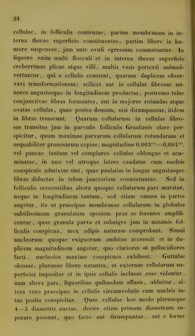 cellulac, in folliculis contenlae, parlim raembranaui in in- terna Ibecae supcrBcic consliluenles, parlim libere in hu- more suspensae, jam anle ovuli egressum commutanlur. In liquore eniiu multi flocculi et in inlcrna thecae superficie crcberrimae plicae alque villi, mullis vasis pertexti animad- vertuntur, qui e cellulis constant, quarum duplicem obser- vavi Iransforniationem; scilicel aut in cellulas fibrosas mi- nores angustasque in longiludiuem productas, postremo telae conjunclivae fibras formanles, aut in majores rotundas atque ovatas cellulas, quae postea dcmum, nisi dirunipuntur, itidcm in fibras Iranseunt. Quarum cellularum in cellulas fibro- sas (ransilus jam in parvulis folliculis Graafianis clare per- spicitur, quuni maximac parvarum ccllularum rolundarum et aequabiliter granosarum copiae, magnitudine 0,003'—0,004', vel paucae tantum vel complures cellulac oblongae et acu- minatae, in uno vel utroque latere caudalae cum nucleis conspicuis admixtae sinl, quac paulalim in longas angustasque fibras diductae in telam junctoriam connecluntur. Sed in folliculis crescenlibus allera quoque ccllularum pars mutalur, neque in longitudincm tanlura, sed otiam omnes in partes augelur, ita ul praecipue raembranae cellularum in globulos sublilissimara granulalam speciera prae se ferentes araplifi- centur, quac granula parva et subnigra jara in minimis fol- liculis conspicua, raox adipis naturara coraprobanl. Siraul nucleorura quoque exiguorura arabitus accrescit et in du- plicem magnitudinera augetur, quo clariores et pellucidiores facti , nucleolos raaxirae conspicuos exhibent. Gultulae olcosae, plurimae libere natantes, el externae cellularum su- perficiei impositao et in ipsis cellulis inclusae esse videntur, nam altera pars, liquoribus quibusdam affusis, abluitur, al- lera vero praecipue in cellulis circuravolutis cura nucleis in- lus posila conspicitur. Ouae cellulac hoc raodo plerumquc 4—5 diaraetris auclae, decies eliani primam diamelruni su- pcrare possunl, quo faclo aul dirunipuntur, aul c forma