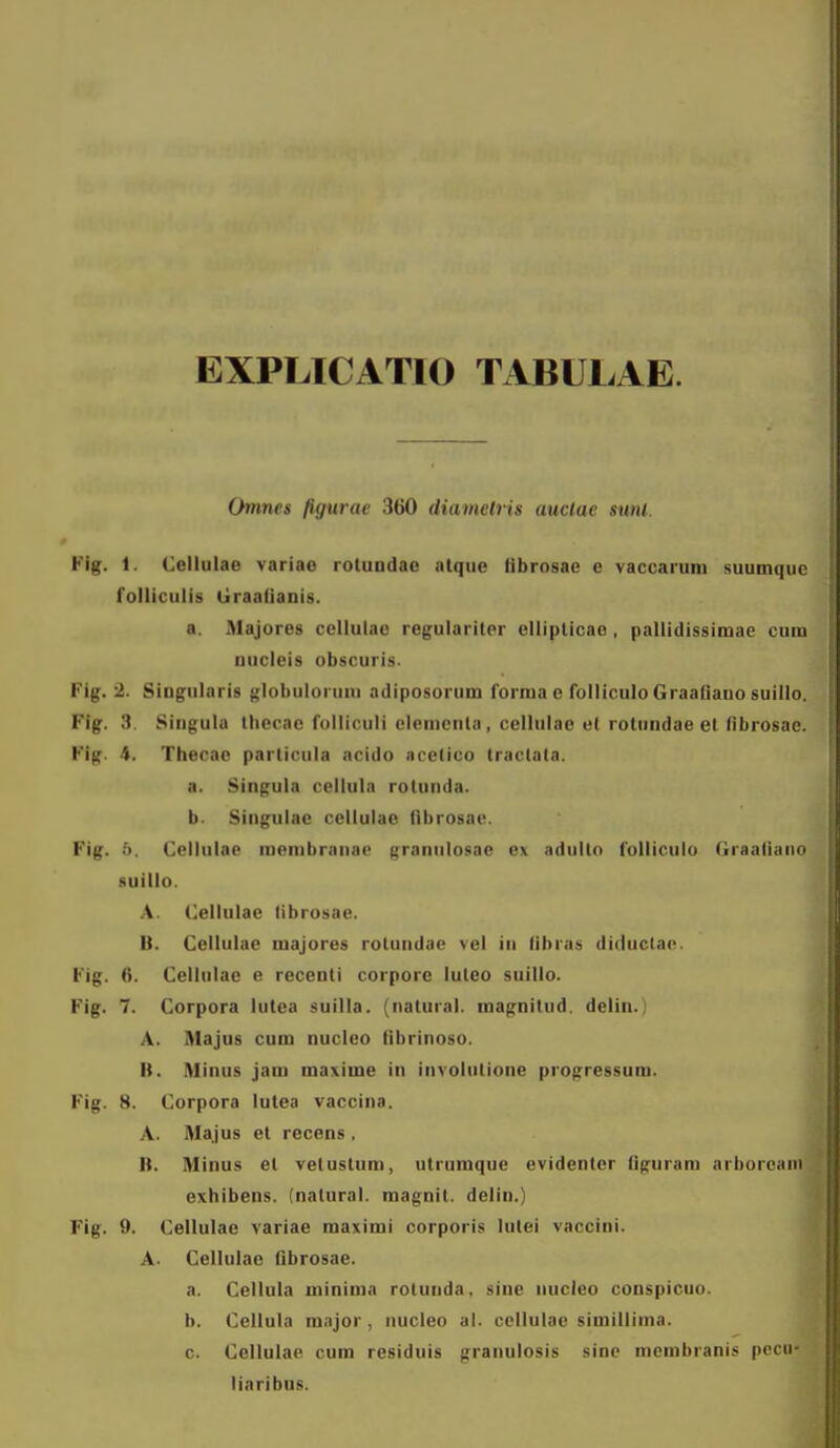 EXPLICATIO TABULAE. Omnes figurae 360 diamelris auclae sunl. Fig. 1. Cellulae variae rotundao atque tlbrosae e vaccarum suumque folliculis Graafianis. a. iMajores ccllulac reg;ulariter elliplicao, pallidissiraae cum nucleis obscuris. Fig. ± Singularis globuloruro adiposorum forma e folliculoGraatiauosuillo. Fig. 3. Singula thecae folliculi clementa, cellulae et rotundae et librosae. Kig. 4. Thecac particula acido acetico traclata. a. Singula collula rotunda. b. Singulae cellulao nbrosao. Fig. 6. Cellulac menibranac ^^ranulosac ex ndulto folliculo Graatiano suillo. \. (^ellulae librusac. U. Ccllulac majores rotundae vel in libras diductac. Fig. 6. Cellulae e recenti corpore luteo suillo. Fig. 7. Corpora lutca suilla. (natural. magnitud. delin.) A. Majus cum nuclco tibrinoso. R. Minus jam maxime in involutione progressum. Fig. 8. Corpora lulea vaccina. A. Majus et recens , H. Minus el vetustum, utrumque evidenter (iguram arborcani oxhibens. (natural. magnit. delin.) Fig. 9. Cellulac variae maximi corporis lutei vaccini. A. Cellulae flbrosae. a. Cellula minima rotunda, sine uuclco conspicuo. b. Cellula major, nuclco al. ccllulae simillima. c. Cellulae cum residuis granulosis sinc membranis pecu- liaribns.