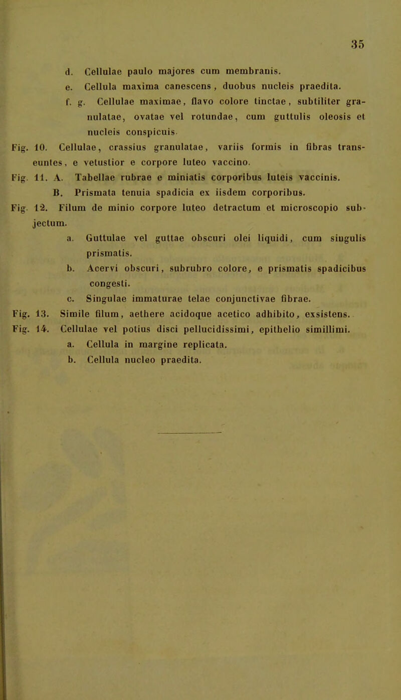 d. Cellulae paulo majores cum mcmbranis. e. Cellula maxima canescens , duobus nucleis praedita. f. g. Cellulae maximae, flavo colore tinclae, subtiliter gra- nulatae, ovatae vei rotundae, cum guttulis oleosis et nucleis conspicuis. Fig. 10. Cellulae, crassius granulatae, variis formis in flbras trans- eunles, e vetustior e corpore luteo vaccino. Fig. 11. A. Tabellae rubrae e miniatis corporibus luleis Taccinis. B. Prismata tenuia spadicia ex iisdem corporibus. Fig- V2. Filum de minio corpore luteo delractum et microscopio sub- jectum. a. Guttulae vel guttae obscuri olei liquidi, cum siugulis prismatis. b. Acervi obscuri, subrubro colore^ e prismatis spadicibus congesti. c. Singulae immaturae telae conjunctivae fibrae. Fig. 13. Simile Dlum, aethere acidoque acetico adhibito, exsistens. Fig. 14. Cellulae vel polius disci pellucidissimi, epithelio simillimi. a. Cellula in raargine replicata. b. Cellula nucleo praedita.