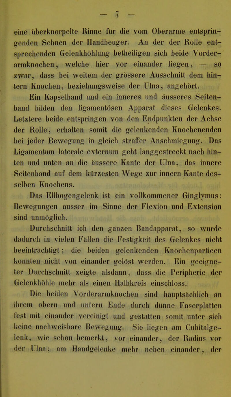 eine überknorpelte Rinne für die vom Oberarme entsprin- genden Sehnen der Handbeuger. An der der Rolle ent- sprechenden Gelenkhöhlung betheiligen sich beide Vorder- armknochen, welche hier vor einander liegen, — so zwar, dass bei weitem der grössere Ausschnitt dem hin- tern Knochen, beziehungsweise der Uina, angehört. Ein Kapselband und ein inneres und äusseres Seiten- band bilden den ligamentösen Apparat dieses Gelenkes. Letztere beide entspringen von den Endpunkten der Achse der Rolle, erhalten somit die gelenkenden Knochenenden bei jeder Bewegung in gleich straffer Anschmiegung. Das Ligamentum laterale externum geht langgestreckt nach hin- ten und unten an die äussere Kante der Ulna, das innere Seitenband auf dem kürzesten Wege zur Innern Kante des- selben Knochens. Das Ellbogengelenk ist ein vollkommener Ginglymus: Bewegungen ausser im Sinne der Flexion und Extension sind unmöglich. Durchschnitt ich den ganzen Bandapparat, so wurde dadurch in vielen Fällen die Festigkeit des Gelenkes nicht beeinträchtigt; die beiden gelenkenden Knochenpartieen konnten nicht von einander gelöst werden. Ein geeigne- ter Durchschnitt zeigte alsdann, dass die Peripherie der Gelenkhöhle mehr als einen Halbkreis einschloss. Die beiden Vorderarmknochen sind hauptsächlich an ihrem obern und untern Ende durch dünne Faserplatten fest mit einander vereinigt und gestatten somit unter sich keine nachweisbare Bewegung. Sie liegen am Cubitalge- Icnk, wie schon bemerkt, vor einander, der Radius vor der Ulna; am Handgelenke mehr neben einander, der