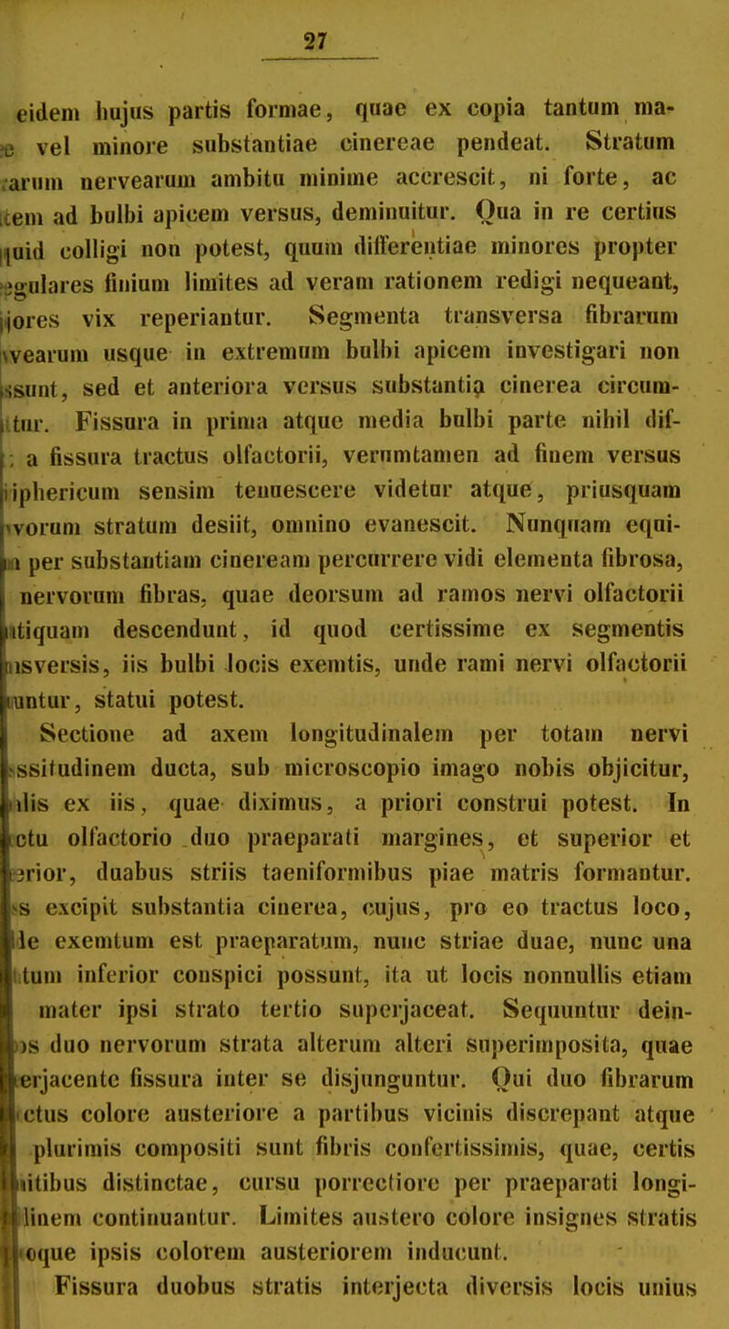 eidem hujus partis formae, quae ex copia tantum ma- ?e vel minoie substantiae cinereae pendeat. Stratum .■aruni nervearum ambitu minime accrescit, ni forte, ac [tem ad bulbi apicem versus, deminuitur. Oua in re certius |i[uid colligi non potest, quuni diiFerentiae minores propter »oulares finium iimites ad verani rationem redigi nequeant, i^ores vix reperiantur. Segmenta transversa fibrarum iwearum usque in extremum bulbi apicem investigari non |ssunt, sed et anteriora versus substanti? cinerea circum- itur. Fissura in prinia atque media bulbi parte nihil dif- ; a fissura tractus oliactorii, verumtanien ad finem versus iiphericum sensim teuuescere videtur atque, priusquam worum stratum desiit, omnino evanescit. Nunquam equi- Mi per substantiam cinereani percurrere vidi elementa fibrosa, nervorum fibras, quae deorsum ad ramos iiervi olfactorii ntiquam descendunt, id quod certissime ex segmentis nsversis, iis bulbi locis exemtis, unde rami nervi olfactorii uuntur, statui potest. Sectione ad axeni longitudinalem per totam nervi sssitudinem ducta, sub microscopio imago nobis objicitur, is ex iis, quae diximus, a priori construi potest. In u olfactorio duo praeparati margines, et superior et ior, duabus striis taeniformibus piae matris formantur. excipit substantia cinerea, cujus, pro eo tractus loco, I exemtum est praeparatum, nunc striae duae, nunc una im inferior conspici possunt, ita ut locis nonnullis etiam mater ipsi strato tertio superjaceat. Sequuntur dein- ; duo nervorum strata alterum alteri superimposita, quae rjacente fissura inter se disjunguntur. Oui duo fibrarum tus colore austeriore a partibus vicinis discrepant atque plurimis compositi sunt fibris confertissiniis, quae, certis tibus distinctae, cursu porrectiorc per praeparati longi- nem continuantur. Limites austero colore insigues stratis que ipsis colorem austeriorem inducunt. Fissura duobus stratis interjecta diversis locis unius