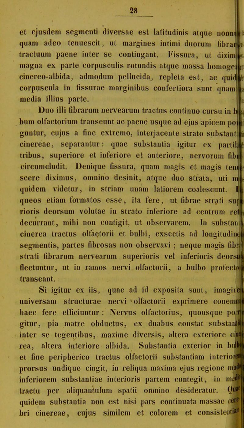 et ejusdem segmenti diversae est latitudinis atque nonn quam adeo tenuescit, ut niargines intimi duoruni fibra tractuum paene inter se contiugant. Fissura, ut dixim inagna ex parte corpusculis rotundis atque massa homoge cinereo-albida, admodum pellucida, repleta est, ac qui corpuscula in fissurae marginibus confcrtiora sunt quam media illius parte. Duo illi fibrarum nervearum tractus continuo cursu in bum olfactorium transeunt ac paene usque ad ejus apicem po guntur, cujus a fine extremo, interjacente strato substaut cinereae, separantur: quae substantia igitur cx partili tribus, superiore et inferiore et anteriore, nervorum fibi circunicludit. Denique fissura, quam magis et magis ten scere dixinius, omnino desinit, atque duo strata, uti n quidem videtur, in striam unam latiorem coalescunt. queos etiam fovmatos esse, ita fere, ut fibrae strati su rioris deorsuni volutae in strato inferiore ad centrum r decurrant, mihi non contigit, ut observarem. In substaii cinerea tractus olfactorii et bulbi, exsectis ad longitudim segmentis, partes fibrosas non observavi ; neque magis fibf strati fibrarum nervearum superioris vel inferioris deorsic flectuntur, ut in ramos nervi olfactorii, a bulbo profectt» transeant. quae ad id exposita sunt, imagini nervi ^olfactorii exprimere coneini Nervus olfactorius, quousque poi] gitur, pia matre obductus, cx duabus constat substai inter se tegentibus, maxime diversis, altera exteriore c rea, altera interiore albida. Substantia exterior in bii et fine peripherico tractus olfactorii substantiam interio prorsus undique cingit, in reliqua maxima ejus regione n inferiorem substantiae interioris partem contegit, in m tractu per aliquantulum spatii omnino desideratur. (/1 quidem substantia non est nisi pars continuata niassae cei* bri cinereae, cujus similem et colorem et consisteutiai'' Si igitur ex iis, universam structurae haec ferc efficiuntur
