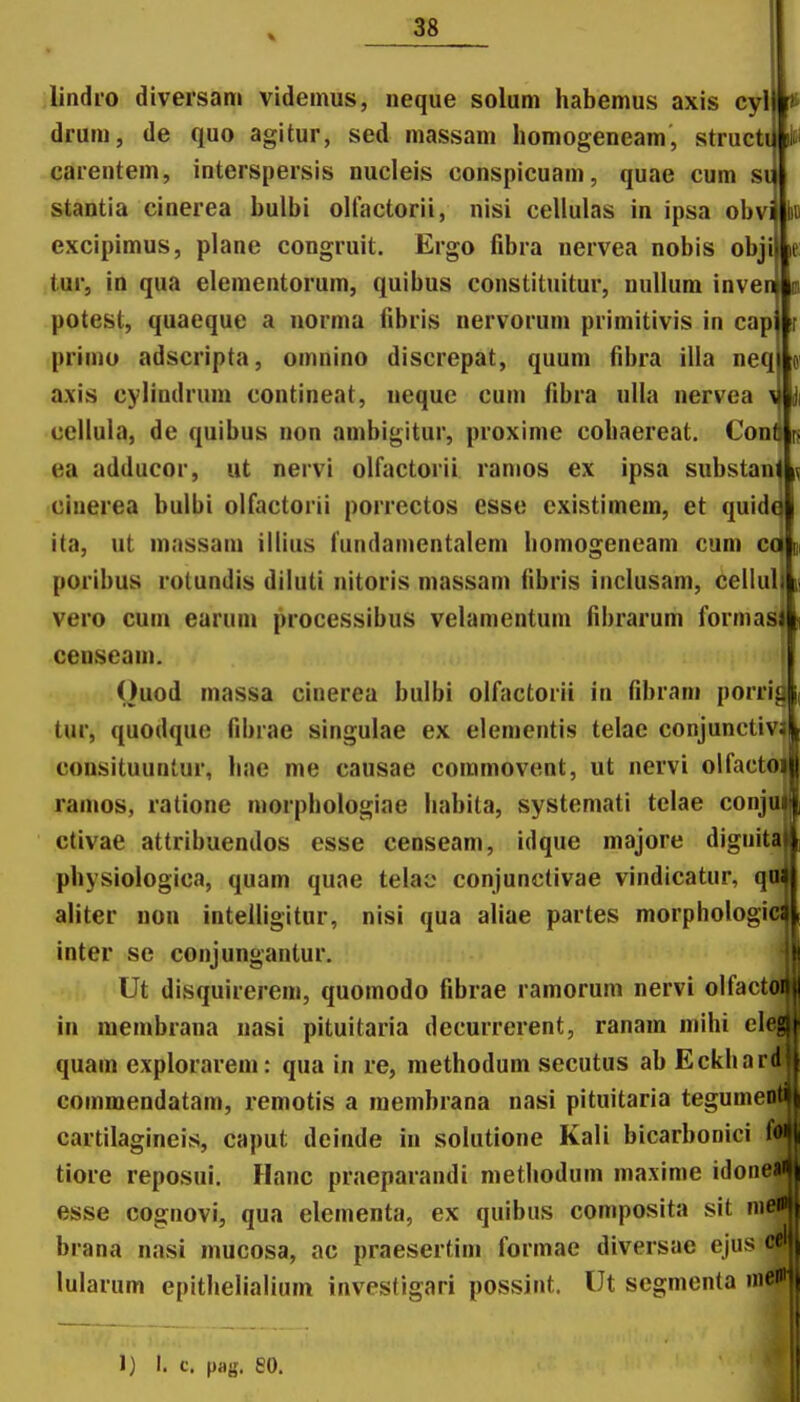 le: Ji lindro diversani videinus, neque solum habemus axis cyl * druin, de quo agitur, sed inassam homogeneam, structi ifc carentein, interspersis nucleis conspicuam, quae cum si stantia cinerea bulbi oHactorii, nisi cellulas in ipsa obvi lii) excipimus, plane congruit. Ergo fibra nervea nobis obji tur, in qua elementorum, quibus constituitur, nullum inve potest, quaeque a norma fibris nervoruin primitivis in capjlf; priino adscripta, omnino discrepat, quum fibra ilia neq axis cylindruin contineat, nequc cum fibra ulla nervea \ cellula, de quibus non ainbigitur, proxime cohaereat. Con ea adducor, ut nervi olfactorii ranios ex ipsa substan cinerea bulbi olfactorii porrectos esse existimem, et quidc ita, ut massam illius fuiidainentalem hoinogeneam cum ca poribus rolundis diluti nitoris massam fibris inclusam, cellul vero cum earum processibus velamentuin fibrarum formas censcam. Ouod inassa cinerea bulbi olfactorii in fibrani porrl tur, quodquo fibrae singulae ex elementis telae conjunctiv<| consituuntur, hae me causae commovent, ut nervi olfacfc ramos, ratione morphologiae habita, systemati telae conjai ctivae attribuendos esse censeam, idque majore dignita physiologica, quam quae telao conjunctivae vindicatur, qrt aliter non inteUigitur, nisi qua aliae partes morphologi inter se conjungantur. Ut disquirerem, quomodo fibrae ramorum nervi olfactoi in raeinbrana nasi pituitaria decurrerent, ranam mihi el quam explorarem: qua in re, methodum secutus ab Eckhar coinmendatam, remotis a inembrana nasi pituitaria tegumei cartilagineis, caput deinde in solutione Kali bicarbonici f* tiore reposui. Hanc praeparandi methodum maxime idoneai esse cognovi, qua elementa, ex quibus composita sit mei brana nasi inucosa, ac praesertim formae diversae ejus cm lularum epithelialiuin invesfigari possint. Ut segmenta m&