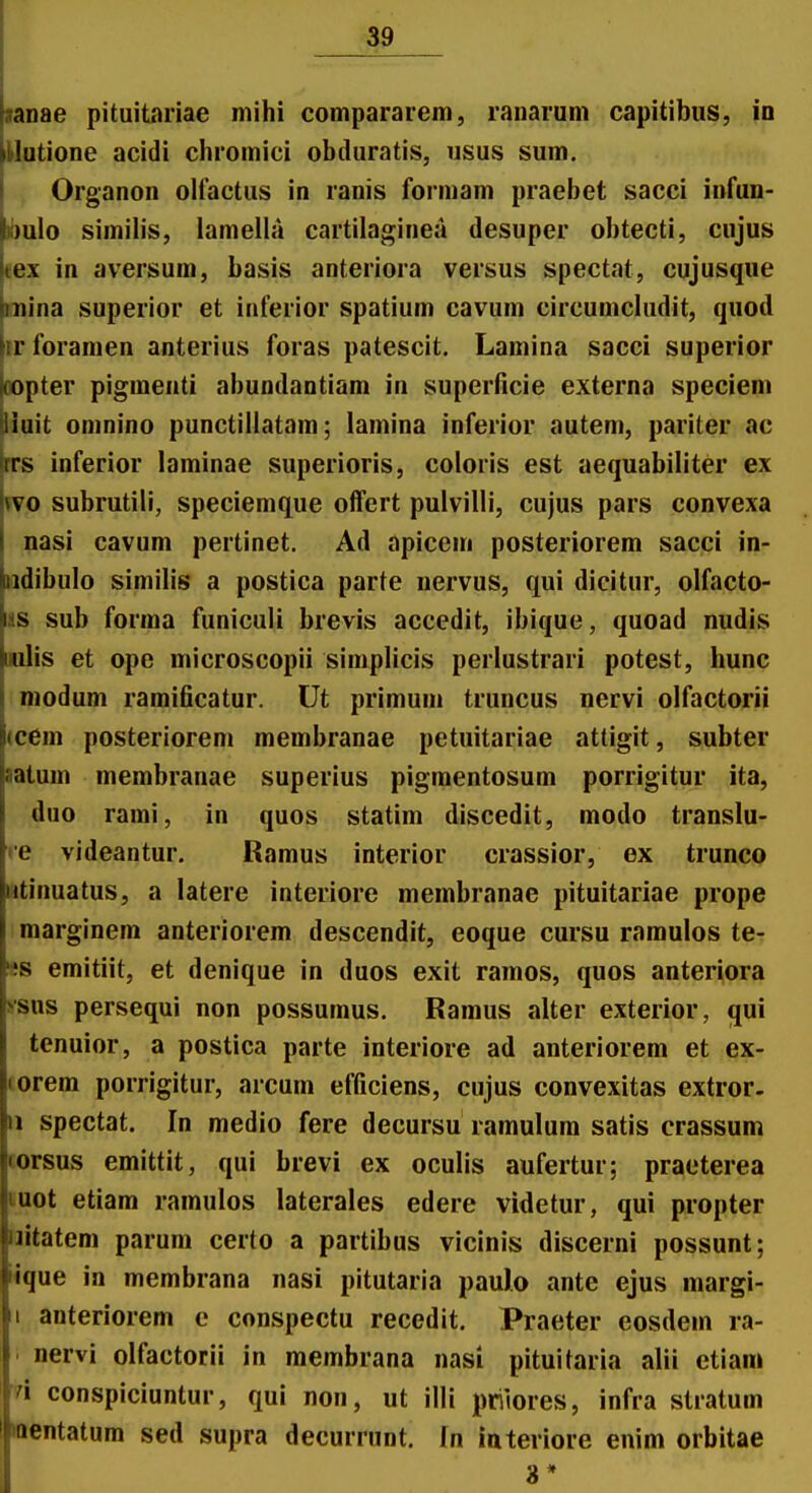 anae pituitariae niihi compararem, ranarum capitibus, io ^ lutione acidi chromici obduratis, usus sum. Organon oltactus in ranis formam praebet sacci infun- ibulo simihs, lameUa cartilaginea desuper obtecti, cujus tex in aversum, basis anteriora versus spectat, cujusque mina superior et inferior spatium cavum circumcludit, quod irforamen anterius foras patescit, Lamina sacci superior i»pter pigmenti abundantiam in superficie externa speciem tliuit omnino punctillatara; lamina inferior autem, pariter ac Irrs inferior laminae superioris, coloris est aequabiliter ex vvo subrutili, speciemque offert pulvilli, cujus pars convexa nasi cavum pertinet. Ad apiccni posteriorem sacci in- ndibulo similis a postica parte nervus, qui dicitur, olfacto- las sub forma funiculi brevis accedit, ibique, quoad nudis ijulis et ope microscopii simplicis perlustrari potest, hunc niodum ramificatur. Ut primum truncus nervi olfactorii (cem posterioreni membranae petuitariae attigit, subter natum membranae superius pigmentosum porrigitur ita, duo rami, in quos statim discedit, modo translu- re videantur. Ramus interior crassior, ex trunco «tinuatus, a latere interiore membranae pituitariae prope marginem anteriorem descendit, eoque cursu ramulos te- «s emitiit, et denique in duos exit ramos, quos anteriora ssus persequi non possumus. Ramus alter exterior, qui tenuior, a postica parte interiore ad anteriorem et ex- lorem porrigitur, arcum efficiens, cujus convexitas extror. II spectat. In medio fere decursu ramulum satis crassum corsus emittit, qui brevi ex oculis aufertur; praeterea tuot etiam ramulos laterales edere videtur, qui propter uitatem parum certo a partibus vicinis discerni possunt; «que in membrana nasi pitutaria paulo ante ejus margi- I anteriorem e conspectu recedit. Praeter eosdem ra- nervi olfactorii in membrana nasi pituitaria alii etiam n conspiciuntur, qui non, ut illi priiores, infra stratum «entatum sed supra decurrunt. In iateriore enim orbitae 8*