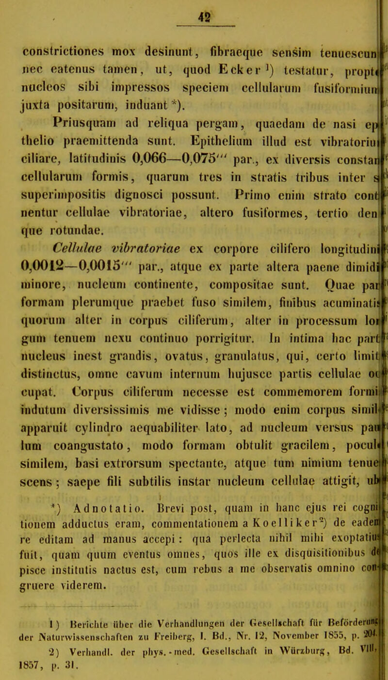 constrictiones mox desinunt, fibraeque sensim tenuescun jiec eatenus tamen, ut, quod Eeker^) testatur, propt( niiclcos slbi impressos speciem cellularun) fusilormiun juxta positarum, induant *). Priusquam ad reliqua pergam, quaedam de nasi ep thelio praennttenda sunt. Epithelium illud est vibratoriu ciliare, latitudinis 0,066—0,075' par., ex diversis constar cellularum formis, quarum tres in stratis tribus inter s superimpositis dignosci possunt. Primo enim strato contj nentur cellulae vibratoriae, altero fusiformes, tertio deni que rotundae. Cellulae vibratoriae ex corporc cilifero longitudinl 0,0012—0,0015' par., atque ex partc altera paene dimidi minorc, nucleum continente, compositae sunt, Ouae pai formam plerumque praebet fuso similem, iinibus acuminati quorum alter in corpus ciliferum, alter in processum \oi gum tenuem nexu continuo porrigitur. In intima hac part nucleus inest grandis, ovatus, granulatus, qui, ccrto limi distinctus, omne cavun» interuum hujusce partis cellulae oi cupat. Corpus ciliferum necesse est commemorem formi| indutum diversissimis me vidisse; modo enim corpus simil apparuit cylindro aequabiliter lato, ad nucleum versus pa lum coangustato, modo formam obtulit gracilem, pocul similem, basi extrorsum spectante, atque tum uimium tenu scens; saepe fili subtilis instar nucleum cellulae attigit. *) Adnolatio. Brevi post, quani in hanc ejus rei cog^ tioucm adductus eram, commentalioneni a Koelli lcer'^) de eaden re edilam ad raanus accepi: qua pcrlecta nihil mihi exoptatiuj fuil, quani quum oventus omnes, quos ille ex disquisitioiiibus dlj pisce inslitnlis naclus est, cura rebus a me observalis omnino co| gruere viderera. 1) Berichle iiber die Verhandliingen der Gesell»chaft fur Befordeil der Naturwissenschaften zu Freiherg, I. Bd., Nr. 12, November 1855, p. ' 2) Verhandl. der nhy.s.-ined. Gesellschaft in VVuriburg, Bd. 1857, 1». 31.