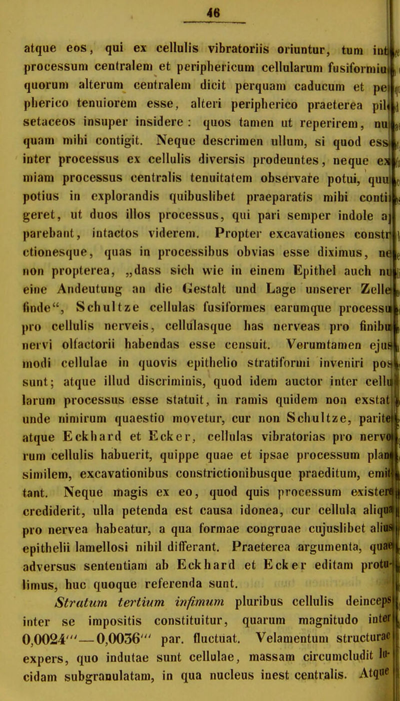 atque eos, qui ex cellulis vibratoriis oriuntur, tum i processum centralem et periphericum cellularum fusiformiu quorum alterum centralem dicit perquam caducum et pei plierico tenuiorem esse, alteri peripherico praeterea pil setaceos insuper insidere : quos tamen ut reperirem, n quam mihi contigit. Neque descrimen ullum, si quod es inter processus ex cellulis diversis prodeuntes, neque e niiam processus centralis tenuitatem observare potui, quul c potius in cxplorandis quibuslibet praeparatis mibi contil geret, ut duos illos processus, qui pari semper indole aj parebant, intactos viderem. Propter excavationes constil ctionesque, quas in processibus obvias esse diximus, nq non propterea, „dass sich wie in einem Epithel auch nii eine Andeutung an die Gestalt und Lage unserer Zellei finde, Schultze cellulas fusiformes earumque processu pro cellulis nerveis, cellulasque has nerveas pro finibn nervi olfactorii habendas esse ccnsuit. Verumtamen eju modi cellulae in quovis epithelio stratiformi inveniri po sunt; atque illud discriminis, quod idem auctor inter cell larum processus esse statuit, in ramis quidem non exstat unde nimirum quaestio movetur, cur non Schultze, parit atque Eckhard et Ecker, cellulas vibratorias pro nerw rum cellulis habuerit, quippe quae et ipsae processum pla similem, excavationibus constrictionibusque praeditum, emi tant. Ncque magis ex eo, quod quis processum exist crediderit, ulla petenda est causa idonea, cur cellula ali pro nervea habeatur, a qua formae congruae cujuslibet alii epithelii lamellosi nihil differant. Praeterea argumenta, qu adversus sententlam ab Eckhard et Ecker editam protn limus, huc quoque referenda sunt. Stratum tertium infimum pluribus cellulis deinceps inter se impositis constituitur, quarum magnitudo intflf 0,0024'—0,0036' par. fluctuat. Velamentum structurac expers, quo indutae sunt cellulae, massam circumcludit \^ cidam subgranulatam, in qua nucleus inest centralis. Atqo«