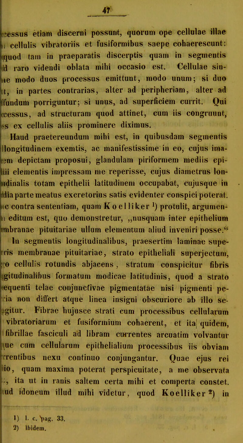 I ^ ! hessus etiam discerni possuiit, quoium ope cellulae illae |ii cellulis vibratoriis et fusiformibus saepe cohaerescunt: jkquod tain in praeparatis discerptis quam in segrnentis kd raro videndi oblata mihi occasio est. Cellulae sin- fne modo duos processus emittunt, modo unum; si duo \t, in partes contrarias, alter ad peripheriam, alter ad Itfundum porriguntur; si unus, ad superficiem currit. Qui kcessus, ad structuram quod attinet, cum iis congruunt, l>s ex cellulis aliis prominere diximiis. Haud praetereundum mihi est, in quibusdain segmentis llongitudinem exemtis, ac manifestissime in eo, cujus ima- >3m depictam proposui, glandulam piriformem mediis epi- iii elementis impressam me reperisse, cujus diametrus lon- M^inalis totam epithelii latitudinem occupabat, cujusque in Miapartemeatus excretorius satis evidenter conspicipoterat. «c contra sentenliam, quam Koel liker •) protulit, argumen- II editum est, quo demonstretur, „nusquam inter epithelium mnbranae pituitariae ullum elementum aliud inveniri posse. In segmentis longitudinalibus, piaesertim laminae supe- rris membranae pituitariae, strato epitheliali superjectum, ;ro cellulis rotundis abjacens, stratum conspicitur fibris pgitudinalibus formatum modicae latitudinis, quod a strato fequenti telae conjuncfivae pigmentatae nisi piginenti pe- i:ia non diflert atque linea insigni obscuriore ab illo se- ugilur. Fibrae hujusce strati cum processibus cellularum vibratoriarum et fiisiformium cohaerent, et ita{ quidem, ifibrillae fasciculi ad libram cwrentes arcuatim volvantur ^ue cum cellularum epithelialium processibus iis obviam rrentibus nexu continuo conjungantur. Quae ejus rei Ko, quam maxima poterat perspicuitate, a ine observata ita ut in ranis saltem certa mihi et comperta constet. lud idoneum illud mihi videtur, quod Koelliker^) in 1) I. c. Vag. 33. 2) Ibidem.