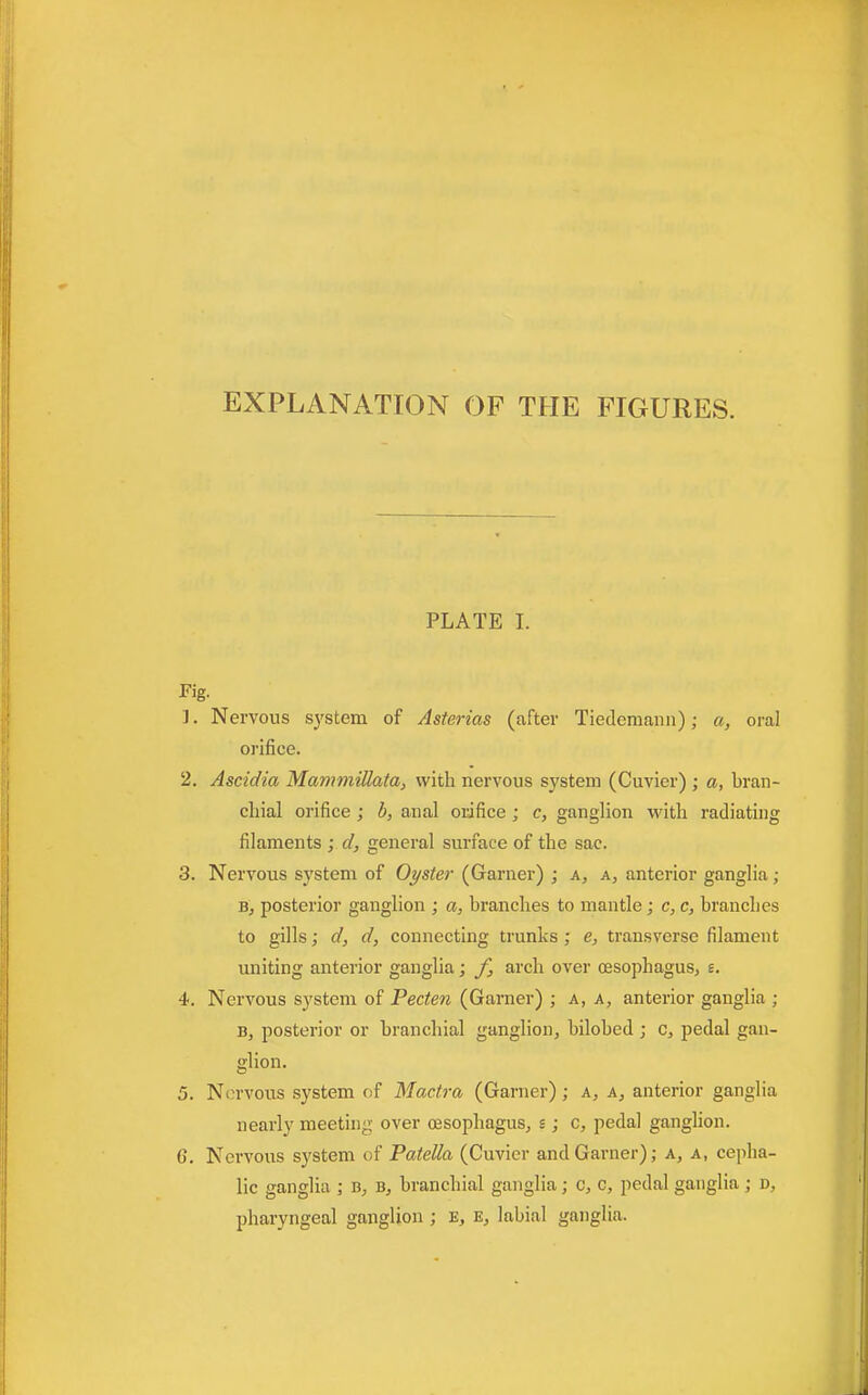EXPLANATION OF THE FIGURES. PLATE I. Fig. 1. Nervous system of Asterias (after Tiedemann); a, oral orifice. 2. Ascidia Mammillata, with nervous system (Cuvier) ; a, bran- chial orifice ; b, anal orifice ; c, ganglion with radiating filaments ; d, general surface of the sac. 3. Nervous system of Oyster (Garner) ; a, a, anterior ganglia ; b, posterior ganglion ; a, branches to mantle; c, c, branches to gills; d, d, connecting trunks ; e, transverse filament uniting anterior ganglia; f, arch over oesophagus, e. 4. Nervous system of Pecten (Gamer) ; a, a, anterior ganglia ; B, posterior or branchial ganglion, bilobed ; c, pedal gan- glion. 5. Nervous system of Mactra (Garner) ; a, a, anterior ganglia nearly meeting over oesophagus, s; c, pedal ganglion. 6. Nervous system of Patella (Cuvier and Garner); a, a, cejiba- lic ganglia ; b, b, branchial ganglia; c, c, pedal ganglia ; d, pharyngeal ganglion ; e, e, labial ganglia.