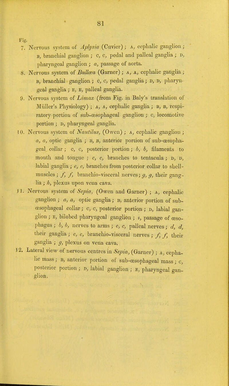 Fig. 7. Nervous system of Aplysia (Cuvier); A, cephalic ganglion; b, branchial ganglion ; c, c, pedal and pal leal ganglia ; d, pharyngeal ganglion ; a, passage of aorta. 8. Nervous system of Bullosa (Garner) ; a, a, cephalic ganglia ; b, branchial ganglion; o, c, pedal ganglia; d, v, pharyn- geal ganglia; e, e, pal leal ganglia. 9. Nervous system of Limax (from Fig. in Baly's translation of Midler's Physiology) ; a, a, cephalic ganglia; b, respi- ratory portion of sub-oesophageal ganglion ; c, locomotive portion ; d, pharyngeal ganglia. 10. Nervous system of Nautilus, (Owen) ; a, cephalic ganglion ; a, a, optic ganglia ; b, s, anterior portion of sub-oesopha- geal collar; c, c, posterior portion; b, b, filaments to mouth and tongue : c, c, branches to tentacula; d, labial ganglia ; e, e, branches from posterior collar to shell- muscles ; f, f, branchio-visceral nerves; g, g, their gang- lia ; h, plexus upon vena cava. 31. Nervous system of Sepia, (Owen and Garner) ; a, cephalic ganglion ; a, a, optic ganglia; b, anterior portion of sub- oesophageal collar; c, c, posterior portion; d, labial gan- glion ; e, bilobed pharyngeal ganglion ; e, passage of oeso- phagus ; b, b, nerves to arms ; c, c, palleal nerves; d, d, their ganglia; e, e, branchio-visceral nerves; f, f, their ganglia j g, plexus on vena cava. !2. Lateral view of nervous centres in Sepia, (Garner) ; a, cepha- lic mass; b, anterior portion of sub-cesophageal mass; c, posterior portion ; d, labial ganglion ; e, pharyngeal gan- glion.