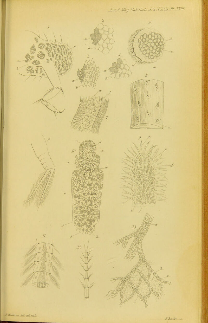 ^CWtUtama dW,. ad rial. J.Ba&irt so.