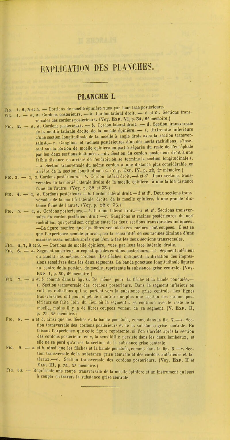 EXPLICATION DES PLANCHES. PLANCHE I. KiG ) 2 5 el 4. — Portions do moelle épinicie vues par leur face posléneure. ViG l' - fl, a. Cordons postérieurs. - b. Cordon latéral droit. - c et C. Sections trans- Torsales des cordons postérieurs. (Voy. Exp. VI, p. 34, 2-= mémoire.) Fin 2. - a, a. Cordons postérieurs. — b. Cordon latéral droit. — d. Section transversale de la moitié latérale droite de la moelle épinière. — t. Extrémité inférieure d'uue section longitudinale de la moelle à angle droit avec la section transver- sale d.—r. Ganglion et racines postérieures d'un des nerfs rachidiens, s'insé- rant sur la portion de moelle épinière en partie séparée du reste de l'encéphale par les deux sections indiquées.—d'. Section du cordon postérieur droit h une faible distance en arrière de l'endroit où se termine la section longitudinale t. —s. Section transversale du même cordon à une distance plus considérable en arrière de la section longitudinale i. (Voy. Exp. IV, p. 32, 2= mémoire.) Fie. 3. — a, a. Cordons postérieurs.—f). Cordon latéral droit.—d et d'. Deux sections trans- versales de la moitié latérale droite de la moelle épinière, à une faible distance l'une de l'autre. (Voy. p. 32 et 33.) FtG. 4. — a, a. Cordons postérieurs.—b. Cordon latéral droit.—d et d'. Deux sections trans- versales de la moitié latérale droite de la moelle épinière, à une grande dis- tance l'une de l'autre. (Voy. p. 32 et 33.) FiG. 5. — a, a. Cordons postérieurs.—6. Cordon latéral droit.—s et »'. Sections transver- sales du cordon postérieur droit.—r. Ganglions et racines postérieures du nerf rachidien, qui prend son origine entre les deux sections transversales indiquées. —La Dgure montre que des fibres venant de ces racines sont coupées. C'est ce que l'expérience semble prouver, car la sensibilité de ces racines diminue d'une manière assez notable après que l'on a fait les deux sections transversales. FlG. 6, 7, 8 et 9. — Portions de moelle épinière, vues par leur face latérale droite. FiG. 6. — a. Segment supérieur ou céphalique des cordons postérieurs.— b Segment inférieur ou caudal des mêmes cordons. Les flèches indiquent la direction des impres- sions sensitives dans les deux segments, La bande ponctuée longitudinale figurée au centre de la portion de moelle, représente la substance grise centrale. (Voy. Exp. I, p. 30, 2= mémoire.) FiG. 7. — a et i» comme dans la fig. 6. De même pour la flèche et la bande ponctuée.— s. Section transversale des cordons postérieurs. Bans le segment inférieur on voit des radiations qui se portent vers la substance grise centrale. Les lignes transversales ont pour objet de montrer que plus une section des cordons pos- térieurs est faite loin du lieu où le segment b se continue avec le reste de la moelle, moins il y a de fibres coupées venant de ce segment. (V. Exp. Il, p. 31,2= mémoire.) Fig. 8. — a et i», ainsi que les flèches et la bande ponctuée, comme dans la fig. 7—s. Sec- tion transversale des cordons postérieurs et de la substance grise centrale. En faisant l'expérience que cette figure représente, si l'on s'arrête après la section des cordons postérieurs en s, la sensibilité persiste dans les deux lambeaux, et elle ne se perd qu'après la section de la substance grise centrale. FiG. 9. — a et b, ainsi que les flèches et la bande ponctuée, comme dans la fig. 6 —s. Sec- tion transversale de la substance grise centrale et des cordons antérieurs et la- téraux.—s'. Section transversale des cordons postérieurs. (Voy. Exp. II et Exp. UI, p. 31, 2= mémoire.) Représente une coupe transversale de la moelle épinière et un instrument qui sert i couper en travers la substance grise centrale.
