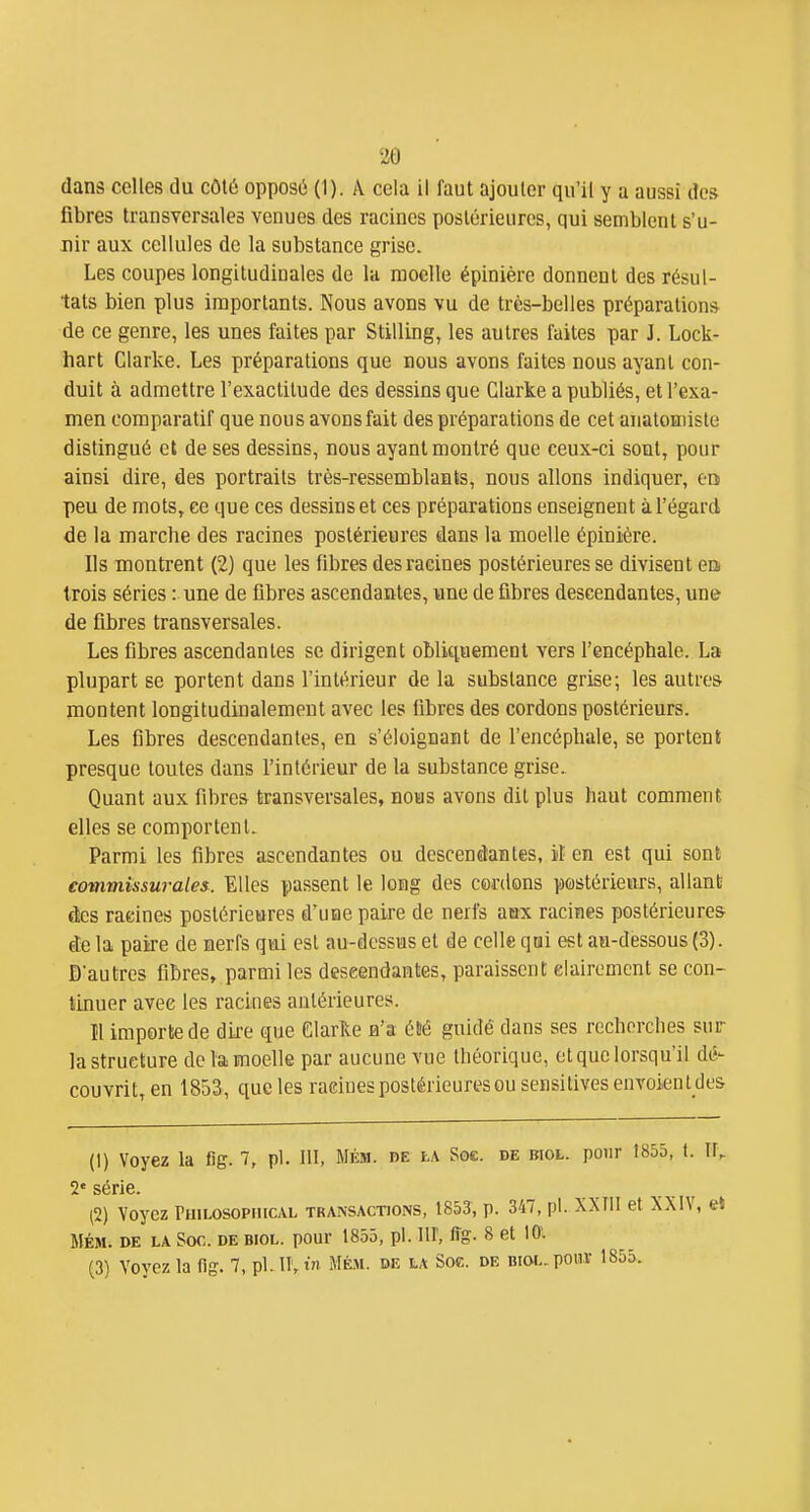 dans celles du côtii oppos6 (1). A cela il faut ajouter qu'il y a aussi des fibres transversales venues des racines postérieures, qui semblent s'u- nir aux cellules de la substance grise. Les coupes longitudinales de la moelle épinière donnent des résul- tats bien plus importants. Nous avons vu de très-belles préparations de ce genre, les unes faites par Stilling, les autres faites par J. Lock- hart Clarke. Les préparations que nous avons faites nous ayant con- duit à admettre l'exactitude des dessins que Clarke a publiés, et l'exa- men comparatif que nous avons fait des préparations de cet anatomiste distingué et de ses dessins, nous ayant montré que ceux-ci sont, pour ainsi dire, des portraits très-ressemblants, nous allons indiquer, ors peu de mots, ce que ces dessins et ces préparations enseignent à l'égard de la marche des racines postérieures dans la moelle épinière. Ils montrent (2) que les fibres des racines postérieures se divisent en trois séries : une de fibres ascendantes, une de fibres descendantes, une de fibres transversales. Les fibres ascendantes se dirigent obliquement vers l'encéphale. La plupart se portent dans l'intérieur de la substance grise; les autres montent longitudinalement avec les fibres des cordons postérieurs. Les fibres descendantes, en s'éloignant de l'encéphale, se portent presque toutes dans l'intérieur de la substance grise.. Quant aux fibres transversales, nous avons dit plus haut comment elles se comportent. Parmi les fibres ascendantes ou descendantes, if en est qui sont eommissurales. Elles passent le long des cordons postérieurs, allant dlcs radnes postérieures d'une paire de nerfs aax racines postérieures ie la pake de nerfs qui est au-dessus et de celle qui est an-dessous (3). D'autres fibres, parmi les descendantes, paraissent clairement se con- tinuer avec les racines antérieures. Il importe de dire que Glarke n'a éCé guidé dans ses recherches sur la structure de la moelle par aucune vue théorique, et que lorsqu'il dé- couvrit, en 1853, que les raeinespostérieuresousensitives envoient des (1) Voyez la fig. 7, pl. Hl, Mém. be iA Soc. de biol. pour 1855, 2' série. (2) Voyez Fuilosopiucal transactions, 185S, p. 347, pl. XXÎII et XX MÉM. DE LA Soc. DE BIOL. pour 1855, pl. 111, fîg. 8 et 10'. (3) Voyez la fig. 7, pl. 11, t Mém. ue la Soc. de biol. pour 1865.