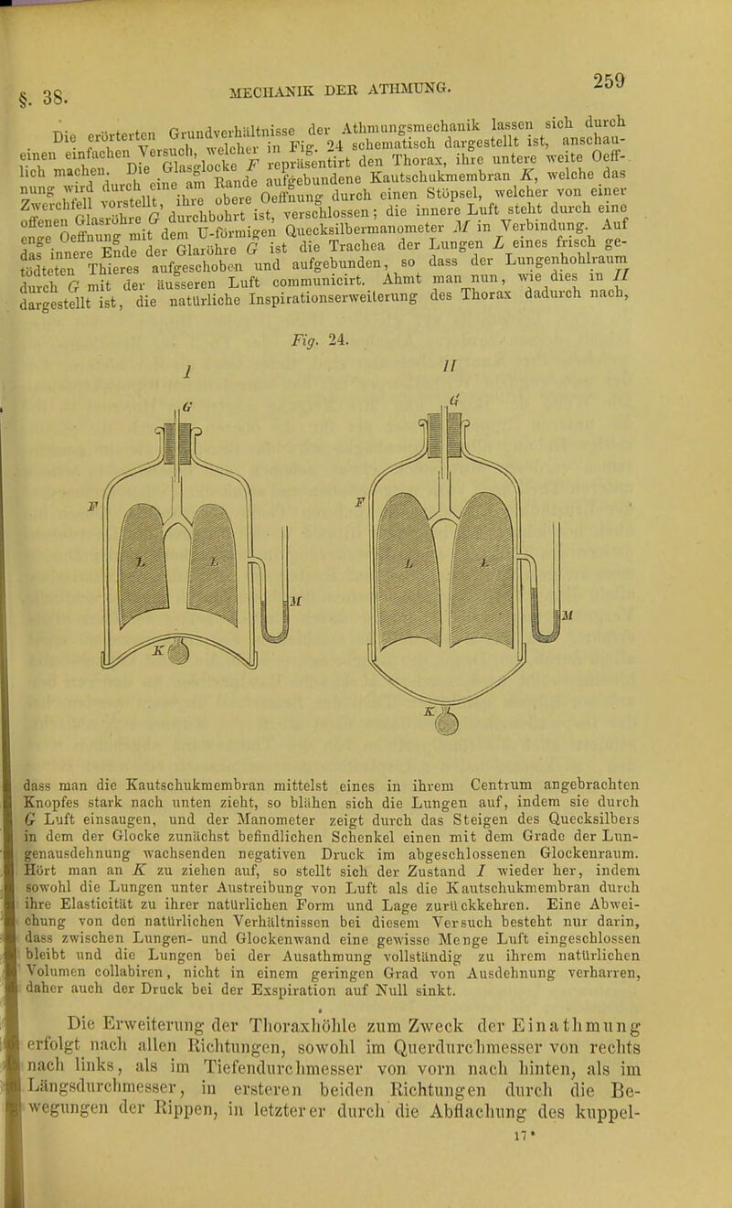 §. 38. •• . ^..„nrlvpvhnltnisse der Atlimungsmechanik lassen sich durch Die erörterten schematisch dargestellt ist, anschau- eineu /'^«l»« ^«=7 2;,^;;?prarenürt den Thorax, ihre untere weite Oeff-. heh änd^^ bundene Kautschukmenibran K, welche das nung ^^•l^d <^^^f j^\r'^ tbere OeftSung durch einen Stöpsel, welcher von einer Zwerchfell vorstellt, /l^'^ °^.!;'_j.3älossen; die innere Luft steht durch eine °^'oeSr. mit^derU S^iÄ QrcksilbLmanometer M in Verbindung Auf raf^innfrE^k le Gla^ühre G ist die Trachea der Lungen Z eines frisch ge- tüdteten Thieres aufgeschobe-n und aufgebunden, so dass der Lungenhohlraum durch G mit der äusseren Luft communicirt. Ahmt inan nun, wie dies m // dargestellt ist, die natürliche Inspirationserweiterung des Thorax dadurch nach, Fig. 24. dass man die Kautschukniembran mittelst eines in ihrem Centrum angebrachten Knopfes stark nach unten zieht, so blühen sich die Lungen auf, indem sie durch Q Luft einsaugen, und der Manometer zeigt durch das Steigen des Quecksilbers in dem der Glocke zunächst befindlichen Schenkel einen mit dem Grade der Lun- genausdehnung wachsenden negativen Druck im abgeschlossenen Glockenraum. Hört man an K zu ziehen auf, so stellt sich der Zustand / wieder her, indem sowohl die Lungen unter Austreibung von Luft als die Kautschukmembran durch ihre Elasticitilt zu ihrer natürlichen Form und Lage zurückkehren. Eine Abwei- chung von den natürlichen Verhältnissen bei diesem Versuch besteht nur darin, dass zwischen Lungen- und Glockenwand eine gewisse Menge Luft eingeschlossen bleibt und die Lungen bei der Ausathmung vollständig zu ihrem natürlichen Volumen collabircn, nicht in einem geringen Grad von Ausdehnung verharren, daher auch der Druck bei der Exspiration auf Null sinkt. • Die Erweiterung der Thoraxhöhle zum Zweck der Einathmung erfolgt nach allen Richtungen, sowohl im Querdurchmesser von reclits nach links, als im Tiefendurchmesser von vorn nach hinten, als im Längsdurchmesser, in ersteren beiden Richtungen durch die Be- wegungen der Rippen, in letzterer durch die Abflachung des kuppel- IT