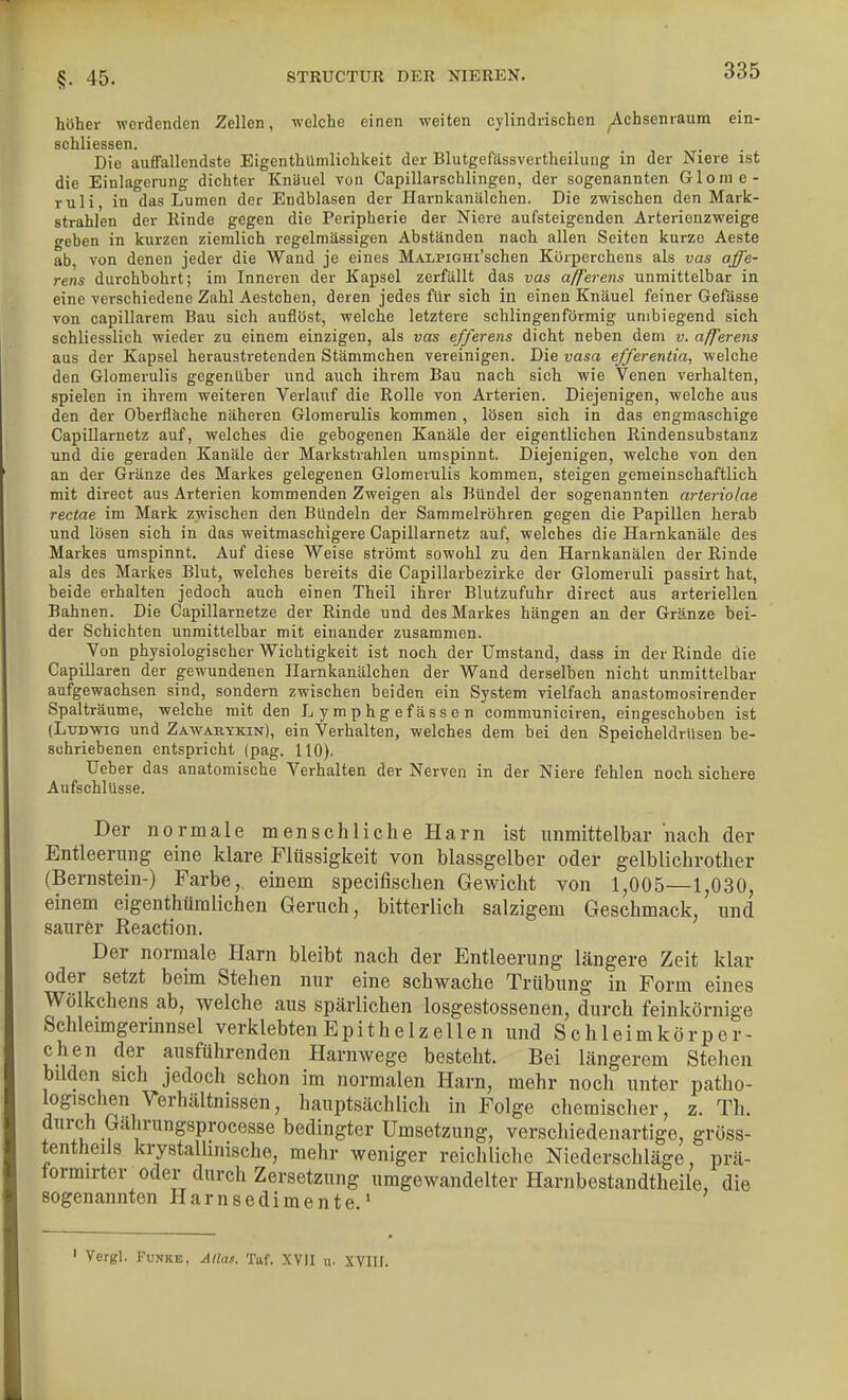 höher werdenden Zellen, welche einen weiten cylindrischen Achsenraum ein- schliessen. Die auffallendste EigenthUmlichkeit der Blutgefässvertheilung in der Niere ist die Einlagerung dichter Knäuel von Capillarschlingen, der sogenannten Glonie- ruli, in das Lumen der Endblasen der Harnkanälchen. Die zwischen den Mark- strahlen der Rinde gegen die Peripherie der Niere aufsteigenden Arterienzweige geben in kurzen ziemlich regelmässigen Abständen nach allen Seiten kurze Aeste ab, von denen jeder die Wand je eines MALPiGHi'schen Korperchens als vas affe- rens durchbohrt; im Inneven der Kapsel zerfällt das vas afferens unmittelbar in eine verschiedene Zahl Aestchen, deren jedes für sich in einen Knäuel feiner Gefässe von capillarem Bau sich auflöst, welche letztere schlingen förmig unibiegend sich schliesslich wieder zu einem einzigen, als vas efferens dicht neben dem v. afferens aus der Kapsel heraustretenden Stämmchen vereinigen. Die vasa efferentia, welche den Glomerulis gegenüber und auch ihrem Bau nach sich wie Venen verhalten, spielen in ihrem weiteren Verlauf die Rolle von Arterien. Diejenigen, welche aus den der Oberflache näheren Glomerulis kommen , lösen sich in das engmaschige Capillarnetz auf, welches die gebogenen Kanäle der eigentlichen Rindensubstanz und die geraden Kanäle der Markstrahlen umspinnt. Diejenigen, welche von den an der Gränze des Markes gelegenen Glomerulis kommen, steigen gemeinschaftlich mit direct aus Arterien kommenden Zweigen als Bündel der sogenannten arteriolae rectae im Mark zwischen den BUndeln der Sammelröhren gegen die Papillen herab und lösen sich in das weitmaschigere Capillarnetz auf, welches die Harnkanäle des Markes umspinnt. Auf diese Weise strömt sowohl zu den Harnkanälen der Rinde als des Markes Blut, welches bereits die Capillarbezirke der Glomeruli passirt hat, beide erhalten jedoch auch einen Theil ihrer Blutzufuhr direct aus arteriellen Bahnen. Die Capillarnetze der Rinde und des Markes hängen an der Gränze bei- der Schichten unmittelbar mit einander zusammen. Von physiologischer Wichtigkeit ist noch der Umstand, dass in der Rinde die Capillaren der gewundenen Harnkanälchen der Wand derselben nicht unmittelbar aufgewachsen sind, sondern zwischen beiden ein System vielfach anastomosirender Spalträume, welche mit den L y m p h g ef äs s e n communiciren, eingeschoben ist (Ludwig und Zawarykin), ein Verhalten, welches dem bei den Speicheldrüsen be- schriebenen entspricht (pag. 110). Ueber das anatomische Verhalten der Nerven in der Niere fehlen noch sichere Aufschlüsse. Der normale menschliche Harn ist unmittelbar nach der Entleerung eine klare Flüssigkeit von blassgelber oder gelblichrother (Bernstein-) Farbe, emem specifischen Gewicht von 1,005—1,030, einem eigenthümlichen Geruch, bitterlich salzigem Geschmack, und saurer Reaction. Der normale Harn bleibt nach der Entleerung längere Zeit klar oder setzt beim Stehen nur eine schwache Trübung in Form eines Wölkchens ab, welche aus spärlichen losgestossenen, durch feinkörnige Schleimgerinnsel verklebten EpitheIzeile n und S chleimkörpe r- chen der ausführenden Harnwege besteht. Bei längerem Stehen bilden sich jedoch schon im normalen Harn, mehr noch unter patho- logischen Verhältnissen, hauptsächlich in Folge chemischer, z. Th. durch Gahrungsprocesse bedingter Umsetzung, verschiedenartige, gröss- tentheils krystalhmsche, mehr weniger reichliche Niederschläge, prä- tormirter oder durch Zersetzung umgewandelter Harnbestandtheile, die sogenannten Harnsedimente.' ' Vergl. Fu.NKE, Allaf. Taf. XVII u. XVIII.