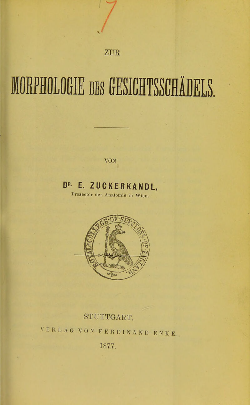 V E R L A G STUTTGART. 1877. E N K E.