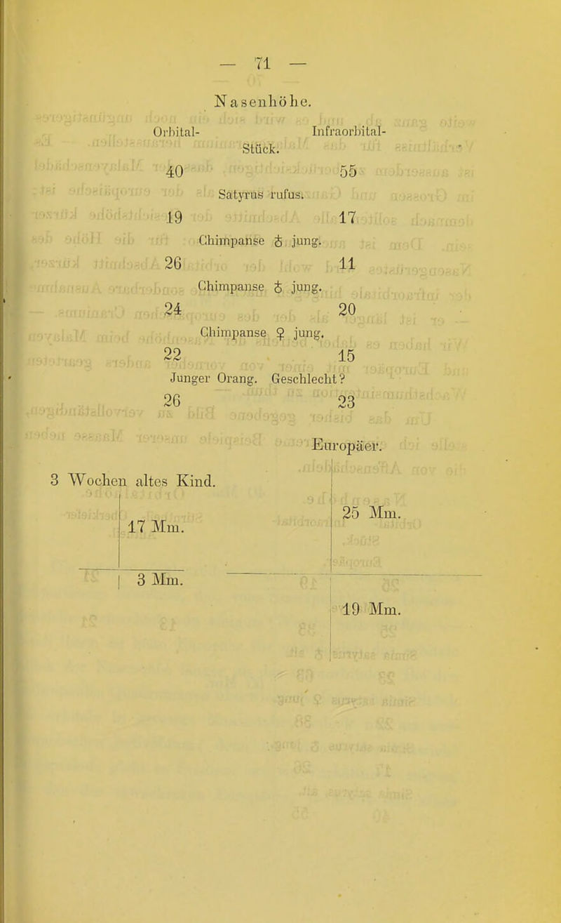 Nasenliölie. Orbital- Infraorbital- 40 55 Satyrus i'ufus. 19 17 Chimpanse i jung. 2G 11 Chimpanse J jung. 24 20 Chimpanse; ^ jung. 22 15 Junger Orang. Geschlecht? 26 23 3 Wochen altes Kind. 17 Mm. 3 Mm. Europäer. 25 Mm.