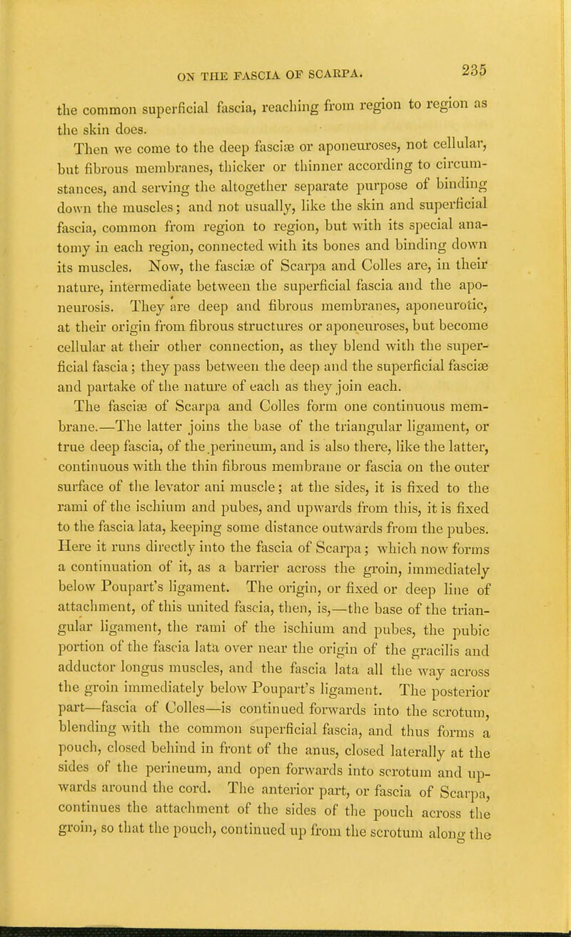 the common superficial fascia, reaching from region to region as the skin does. Then we come to the deep fasciae or aponeuroses, not cellular, but fibrous membranes, thicker or thinner according to circum- stances, and serving the altogether separate purpose of binding down the muscles; and not usually, like the skin and superficial fascia, common from region to region, but with its special ana- tomy in each region, connected with its bones and binding down its muscles. Now, the fasciae of Scarpa and Colles are, in their nature, intermediate between the superficial fascia and the apo- neurosis. They are deep and fibrous membranes, aponeurotic, at theu' origin from fibrous structures or aponeui'oses, but become cellular at their other connection, as they blend with the super- ficial fascia; they pass between the deep and the superficial fasciae and partake of the nature of each as they join each. The fasciae of Scarpa and Colles form one continuous mem- brane.—The latter joins the base of the triangular ligament, or true deep fascia, of the perineum, and is also there, like the latter, continuous with the thin fibrous membi'ane or fascia on the outer surface of the levator ani muscle; at the sides, it is fixed to the rami of the ischium and pubes, and upwards from this, it is fixed to the fascia lata, keeping some distance outwards from the pubes. Here it runs directly into the fascia of Scarpa; which now forms a continuation of it, as a barrier across the gi'oin, immediately below Poupart's ligament. The origin, or fixed or deep line of attachment, of this united fascia, then, is,—the base of the trian- gular ligament, the rami of the ischium and pubes, the pubic portion of the fascia lata over near the origin of the gracilis and adductor longus muscles, and the fascia lata all the way across the groin immediately below Poupart's ligament. The posterior part—fascia of Colles—is continued forwards into the scrotum, blending with the common superficial fascia, and thus forms a pouch, closed behind in front of the anus, closed laterally at the sides of the perineum, and open forwards into scrotum and up- wards around the cord. The anterior part, or fascia of Scarpa, continues the attachment of the sides of the pouch across the groin, so that the pouch, continued up from the scrotum alouo- the