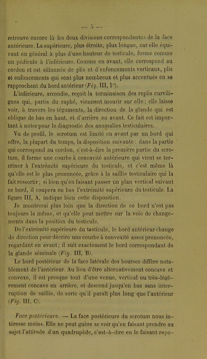 retrouve encore là les deux divisions correspondantes de la face antérieure. La supérieure, plus étroite, plus longue, car elle équi- vaut en général à plus d'une hauteur de testicule, forme comme un pédicule à l'inférieure. Comme en avant, elle correspond au cordon et est sillonnée de plis et d'enfoncements verticaux, plis et enfoncements qui sont plus nombreux et plus accentués en se rapprochant du bord antérieur {Fig. III, 1°). L'inférieure, arrondie, reçoit la terminaison des replis curvili- gnes qui, partis du raphé, viennent mourir sur elle ; elle laisse voir, à travers les téguments, la direction de la glande qui est oblique de bas en haut, et d'arrière en avant. Ce fait est impor- tant à noter pour le diagnostic des anomalies testiculaires. Vu de profil, le scrotum est limité en avant par un bord qui offre, la plupart du temps, la disposition suivante : dans la partie qui correspond au cordon, c'est-à-dire la première partie du scro- tum, il forme une courbe à concavité antérieure qui vient se ter- miner à l'extrémité supérieure du testicule, et c'est même là qu'elle est le plus prononcée, grâce à la saillie tesliculaire qui la fait ressortir ; si bien qu'en faisant passer un plan vertical suivant ce bord, il coupera en bas l'extrémité supérieure du testicule. La figure III, A, indique bien cette disposition. Je montrerai plus loin que la direction de ce bord n'est pas toujours la même, et qu'elle peut mettre sur la voie de change- ments dans la position du testicule. De l'extrémité supérieure du testicule, le bord antérieur change de direction pour décrire une courbe à convexité assez prononcée, regardant en avant; il suit exactement le bord correspondant de la glande séminale (Fig. III, B). Le bord postérieur de la face latérale des bourses diffère nota- blement de l'antérieur. Au lieu d'être alternativement concave et convexe, il est presque tout d'une venue, vertical ou très-légè- rement concave en arrière, et descend jusqu'en bas sans inter- ruption de saillie, de sorte qu'il paraît plus long que l'antérieur (Fig. M, C). Face postérieure. — La face postérieure du scrotum nous in- téresse moins. Elle ne peut guère se voir qu'en faisant prendre au sujet l'attitude d'un quadrupède, c'est-à-dire eu le faisant repo-