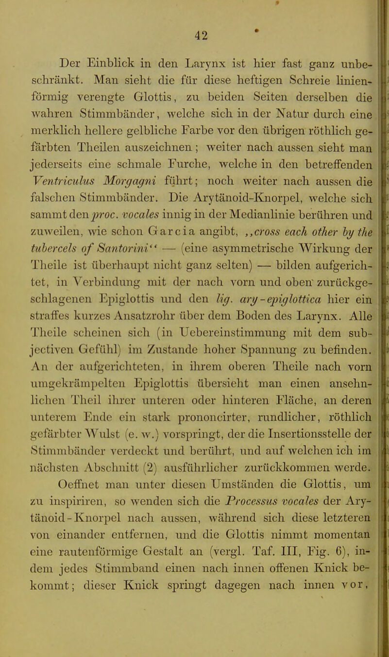 Der Einblick in den Larynx ist hier fast ganz unbe- schränkt. Man sieht die für diese heftigen Schreie linien- förraig verengte Glottis, zu beiden Seiten derselben die wahren Stimmbänder, welche sich in der Natur durch eine merklich hellere gelbliche Farbe vor den übrigen röthlich ge- färbten Theilen auszeichnen; weiter nach aussen sieht man jederseits eine schmale Furche, welche in den betreffenden Ventriculus Morgagni führt; noch weiter nach aussen die falschen Stimmbänder. Die Arytänoid-Knorpel, welche sich sammt den proc. vocales innig in der Medianlinie berühren und zuweilen, wie schon Garcia angibt, ,,cross each other by the tubercels of Santorini — (eine asymmetrische Wirkung der Theile ist überhaupt nicht ganz selten) — bilden aufgerich- tet, in Verbindung mit der nach vorn und oben zurückge- schlagenen Epiglottis und den lig. ary - epiglottica hier ein straffes kurzes Ansatzrohr über dem Boden des Larynx. Alle Theile scheinen sich (in Uebereinstimmung mit dem sub- jectiyen Gefühl) im Zustande hoher Spannung zu befinden. An der aufgerichteten, in ihrem oberen Theile nach vorn umgekrämpelten Epiglottis übersieht man einen ansehn- lichen Theil ihrer unteren oder hinteren Fläche, an deren unterem Ende ein stark prononcirter, rundlicher, röthlich gefärbter Wulst (e. w.) vorspringt, der die Insertionsstelle der Stimmbänder verdeckt und berührt, und auf welchen ich im nächsten Abschnitt (2) ausführlicher zurückkommen werde. Oeffnet man unter diesen Umständen die Glottis, um zu inspiriren, so wenden sich die Processus vocales der Ary- tänoid-Knorpel nach aussen, während sich diese letzteren von einander entfernen, und die Glottis nimmt momentan eine rautenförmige Gestalt an (vergl. Taf. III, Fig. 6), in- dem jedes Stimmband einen nach innen offenen Knick be- kommt; dieser Knick springt dagegen nach innen vor,