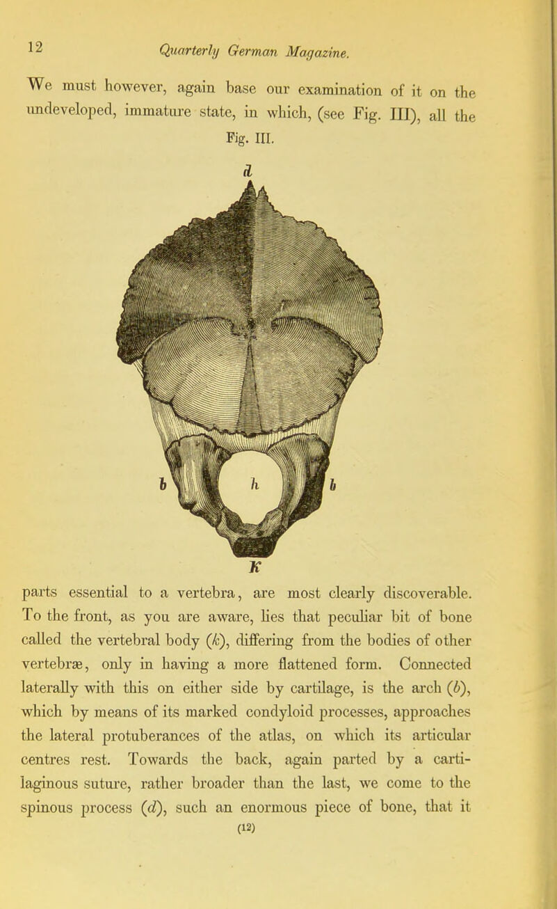 We must however, again base our examination of it on the undeveloped, immature state, in which, (see Fig. Ill), all the Fig. in. K parts essential to a vertebra, are most clearly discoverable. To the front, as you are aware, lies that peculiar bit of bone called the vertebral body (/t), differing from the bodies of other vertebrae, only in having a more flattened form. Connected laterally with this on either side by cartilage, is the arch (b), which by means of its marked condyloid processes, approaches the lateral protuberances of the atlas, on which its articular centres rest. Towards the back, again parted by a carti- laginous suture, rather broader than the last, we come to the spinous process (d), such an enormous piece of bone, that it (12)