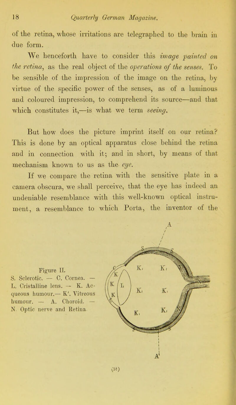 of the retina, whose irritations are telegraphed to the brain in clue form. We henceforth have to consider this image painted on the retina, as the real object of the operations of the senses. To be sensible of the impression of the image on the retina, by virtue of the specific power of the senses, as of a luminous and coloured impression, to comprehend its source—and that which constitutes it,—is what we term seeing. But how does the picture imprint itself on our retina? This is done by an optical apparatus close behind the retina and in connection with it; and in short, by means of that mechanism known to us as the eye. If we compare the retina with the sensitive plate in a camera obscura, we shall perceive, that the eye has indeed an undeniable resemblance with this well-known optical instru- ment, a resemblance to which Porta, the inventor of the Figure II. S. Sclerotic. — C. Cornea. — L. Cristalline lens. — K. Ac- queous humour.— K'. Vitreous humour. — A. Choroid. — N. Optic nerve and Retina