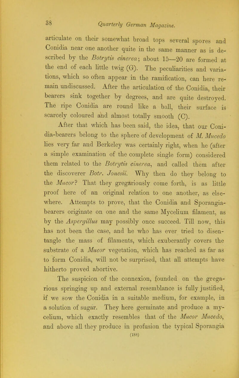 articulate on their somewhat broad tops several spores and Conidia near one another quite in the same manner as is de- scribed by the Botrytis cinerea- about 15—20 are formed at the end of each little twig (G). The peculiarities and varia- tions, which so often appear in the ramification, can here re- main undiscussed. After the articulation of the Conidia, their bearers sink together by degrees, and are quite destroyed. The ripe Conidia are round like a ball, their surface is scarcely coloured and almost totally smooth (C). After that which has been said, the idea, that our Coni- dia-bearers belong to the sphere of development of M. Mucedo lies very far and Berkeley was certainly right, when he (after a simple examination of the complete single form) considered them related to the Botrytis cinerea, and called them after the discoverer Botr. Jonesii. Why then do they belong to the Mucor? That they gregariously come forth, is as little proof here of an original relation to one another, as else- where. Attempts to prove, that the Conidia and Sporangia- bearers originate on one and the same Mycelium filament, as by the Aspergillus may possibly once succeed. Till now, this has not been the case, and he who has ever tried to disen- tangle the mass of filaments, which exuberantly covers the substrate of a Mucor vegetation, which has reached as far as to form Conidia, will not be surprised, that all attempts have hitherto proved abortive. The suspicion of the connexion, founded on the grega- rious springing up and external resemblance is fully justified, if we sow the Conidia in a suitable medium, for example, in a solution of sugar. They here germinate and produce a my- celium, which exactly resembles that of the Mucor Mucedo, and above all they produce in profusion the typical Sporangia (188)