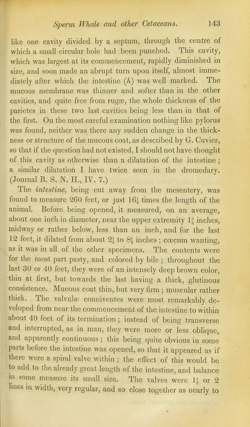 like one cavity divided by a septum, through the centre of which a small circular hole had been punched. This cavity, which was largest at its commencement, rapidly diminished in size, and soon made an abrupt turn upon itself, almost imme- diately after which the intestine (Ji) was well marked. The mucous membrane was thinner and softer than in the other cavities, and quite free from rugae, the whole thickness of the parietes in these two last cavities being less than in that of the first. On the most careful examination nothing like pylorus was found, neither was there any sudden change in the thick- ness or structure of the mucous coat, as described by G. Cuvier, so that if the question had not existed, I should not have thought of this cavity as otherwise than a dilatation of the intestine ; a similar dilatation I have twice seen in the dromedary. (Journal B. S. N. H., IV. 7.) The intestine, being cut away from the mesentery, was found to measure 260 feet, or just 16| times the length of the animal. Before being opened, it measured, on an average, about one inch in diameter, near the upper extremity 1| inches, midway or rather below, less than an inch, and for the last 12 feet, it dilated from about 2| to 8| inches; coecum wanting, as it was in all of the other specimens. The contents were for the most part pasty, and colored by bile ; throughout the last 30 or 40 feet, they were of an intensely deep brown color, thin at first, but towards the last having a thick, glutinous consistence. Mucous coat thin, but very firm ; muscular rather thick. The valvular conniventes were most remarkably de- veloped from near the commencement of the intestine to within about 40 feet of its termination ; instead of being transverse and interrupted, as in man, they were more or less oblique, and apparently continuous ; this being quite obvious in some parts before the intestine was opened, so that it appeared as if there were a spiral valve within ; the effect of this would be to add to the already great length of the intestine, and balance in some measure its small size. The valves were li or 2 lines in width, very regular, and so close together as nearly to