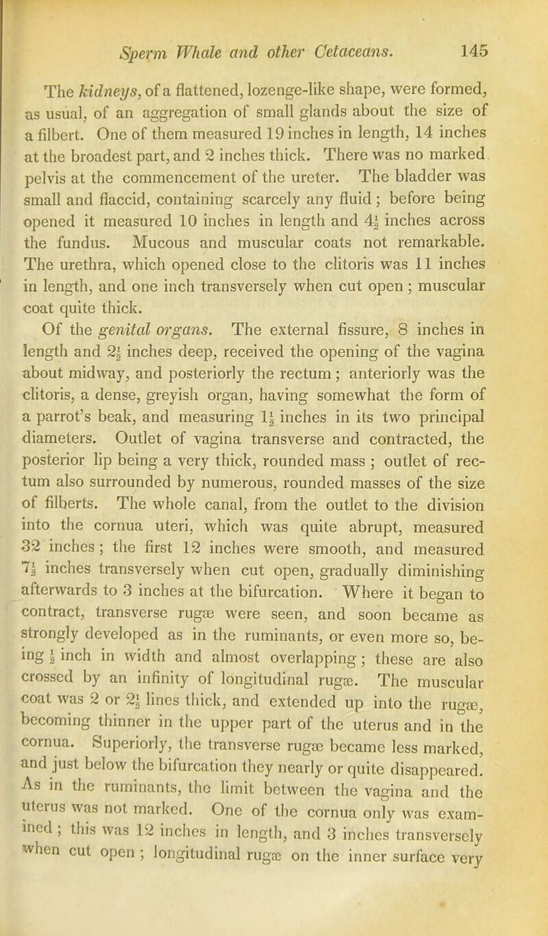 The kidneys, of a flattened, lozenge-like shape, were formed, as usual, of an aggregation of small glands about the size of a filbert. One of them measured 19 inches in length, 14 inches at the broadest part, and 2 inches thick. There was no marked pelvis at the commencement of the ureter. The bladder was small and flaccid, containing scarcely any fluid; before being opened it measured 10 inches in length and 4| inches across the fundus. Mucous and muscular coats not remarkable. The urethra, which opened close to the clitoris was 11 inches in length, and one inch transversely when cut open ; muscular coat quite thick. Of the genital organs. The external fissure, 8 inches in length and % inches deep, received the opening of the vagina about midway, and posteriorly the rectum; anteriorly was the clitoris, a dense, greyish organ, having somewhat the form of a parrot's beak, and measuring \\ inches in its two principal diameters. Outlet of vagina transverse and contracted, the posterior lip being a very thick, rounded mass ; outlet of rec- tum also surrounded by numerous, rounded masses of the size of filberts. The whole canal, from the outlet to the division into the comua uteri, which was quite abrupt, measured 32 inches; the first 12 inches were smooth, and measured 7| inches transversely when cut open, gradually diminishing afterwards to 3 inches at the bifurcation. Where it began to contract, transverse rugae were seen, and soon became as strongly developed as in the ruminants, or even more so, be- ing \ inch in width and almost overlapping ; these are also crossed by an infinity of longitudinal rugae. The muscular coat was 2 or % lines thick, and extended up into the ruga;, becoming thinner in the upper part of the uterus and in the comua. Superiorly, the transverse ruga? became less marked, and just below the bifurcation they nearly or quite disappeared. As in the ruminants, the limit between the vagina and the uterus was not marked. One of the cornua only was exam- ined ; this was 12 inches in length, and 3 inches transversely when cut open ; longitudinal rugae on the inner surface very