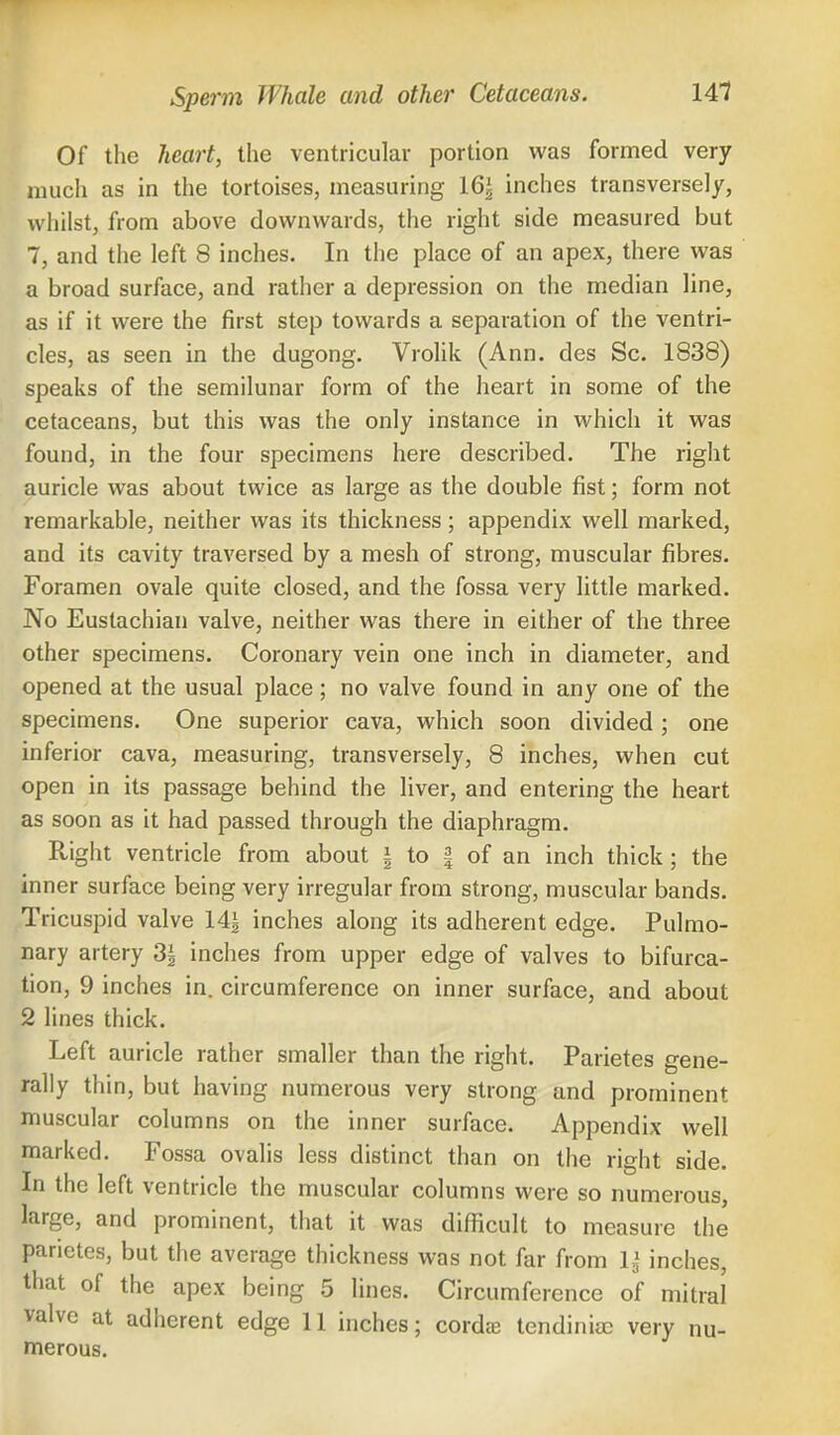 Of the heart, the ventricular portion was formed very much as in the tortoises, measuring 16^ inches transversely, whilst, from above downwards, the right side measured but 7, and the left 8 inches. In the place of an apex, there was a broad surface, and rather a depression on the median line, as if it were the first step towards a separation of the ventri- cles, as seen in the dugong. Vrolik (Ann. des Sc. 1838) speaks of the semilunar form of the heart in some of the cetaceans, but this was the only instance in which it was found, in the four specimens here described. The right auricle was about twice as large as the double fist; form not remarkable, neither was its thickness; appendix well marked, and its cavity traversed by a mesh of strong, muscular fibres. Foramen ovale quite closed, and the fossa very little marked. No Eustachian valve, neither was there in either of the three other specimens. Coronary vein one inch in diameter, and opened at the usual place ; no valve found in any one of the specimens. One superior cava, which soon divided; one inferior cava, measuring, transversely, 8 inches, when cut open in its passage behind the liver, and entering the heart as soon as it had passed through the diaphragm. Right ventricle from about § to § 0f an inch thick ; the inner surface being very irregular from strong, muscular bands. Tricuspid valve 14| inches along its adherent edge. Pulmo- nary artery 3| inches from upper edge of valves to bifurca- tion, 9 inches in. circumference on inner surface, and about 2 lines thick. Left auricle rather smaller than the right. Parietes gene- rally thin, but having numerous very strong and prominent muscular columns on the inner surface. Appendix well marked. Fossa ovalis less distinct than on the right side. In the left ventricle the muscular columns were so numerous, large, and prominent, that it was difficult to measure the parietes, but the average thickness was not far from lj1 inches, that of the apex being 5 lines. Circumference of mitral valve at adherent edge 11 inches; cords tendinis; very nu- merous.